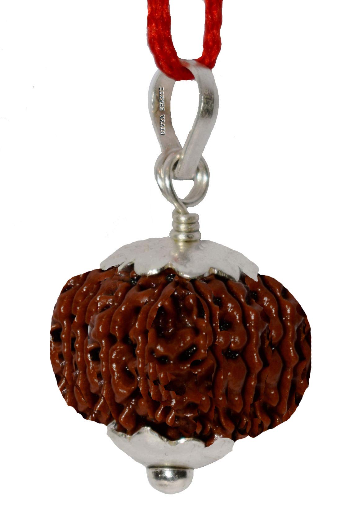 13 Mukhi Nepali Rudraksha Silver Pendant Necklace - 18mm Divine Divya Shakti Thirteen Face Bead for Men & Women - Spiritual Protection, Meditation & Yoga Jewelry