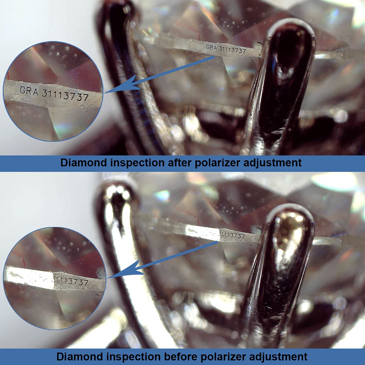 5MP Polarizing USB Microscope - 250x Magnification Digital Microscope Camera for Coin Collecting & Micro Soldering | Compatible with Windows/Mac | Perfect for Hobbyists, Jewelers & Electronics Repair