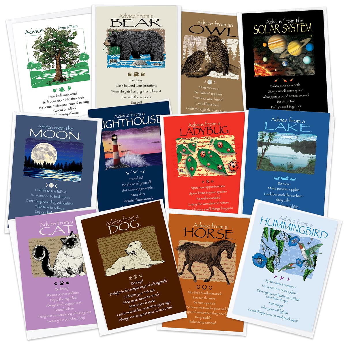 12 Unique Greeting Card Birthday Set - Bear, Cat, Dog, Horse, Hummingbird, Lake, Ladybug, Lighthouse, Moon, Owl, Solar System & Tree Designs (AMGC12-BDAY) - Perfect for Birthdays, Anniversaries & Special Occasions