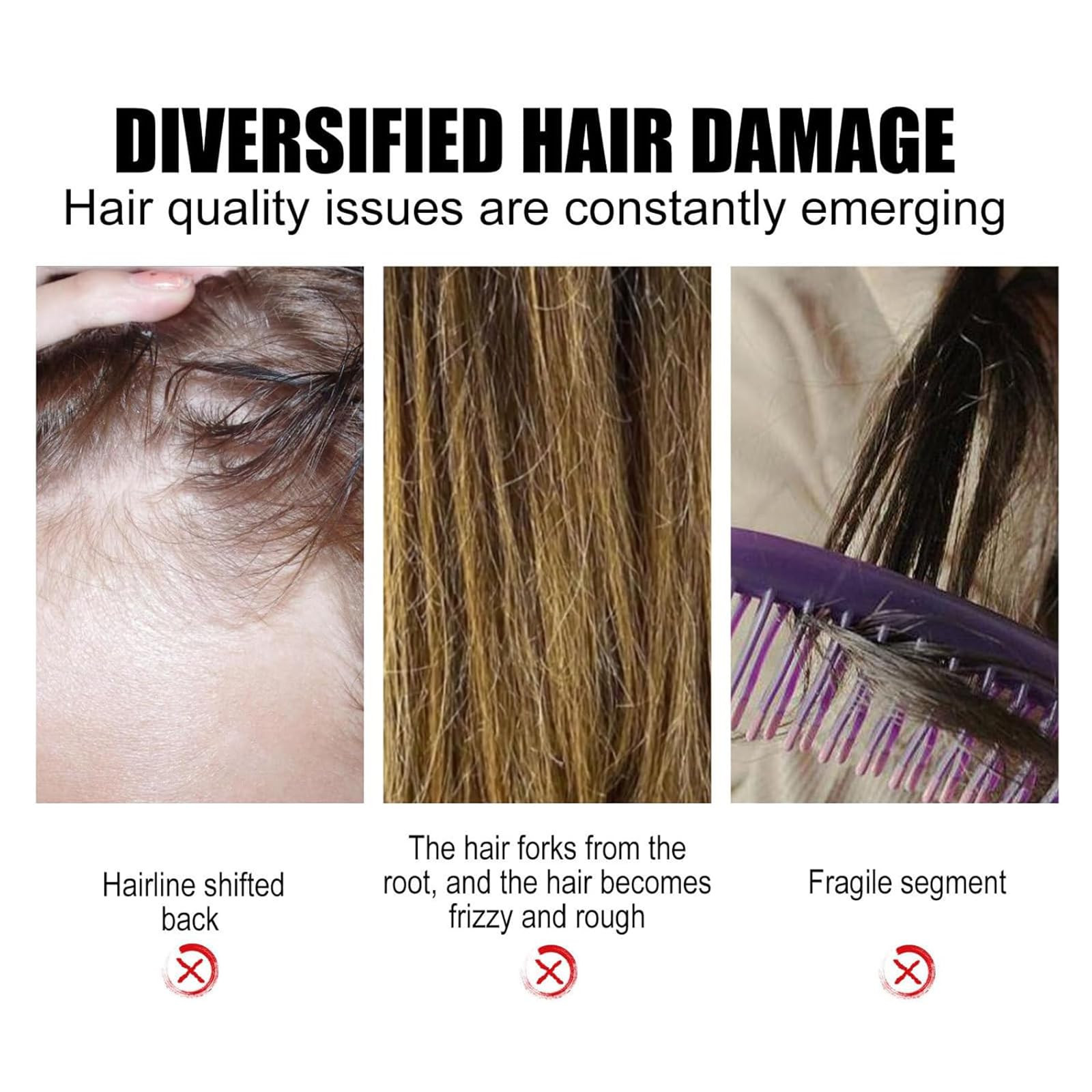 Ginseng Oil Control Anti-Hair Loss Shampoo - Herbal Hair Repair & Scalp Treatment for Men & Women (3 Pack) - Perfect for Daily Use & Hair Growth Care