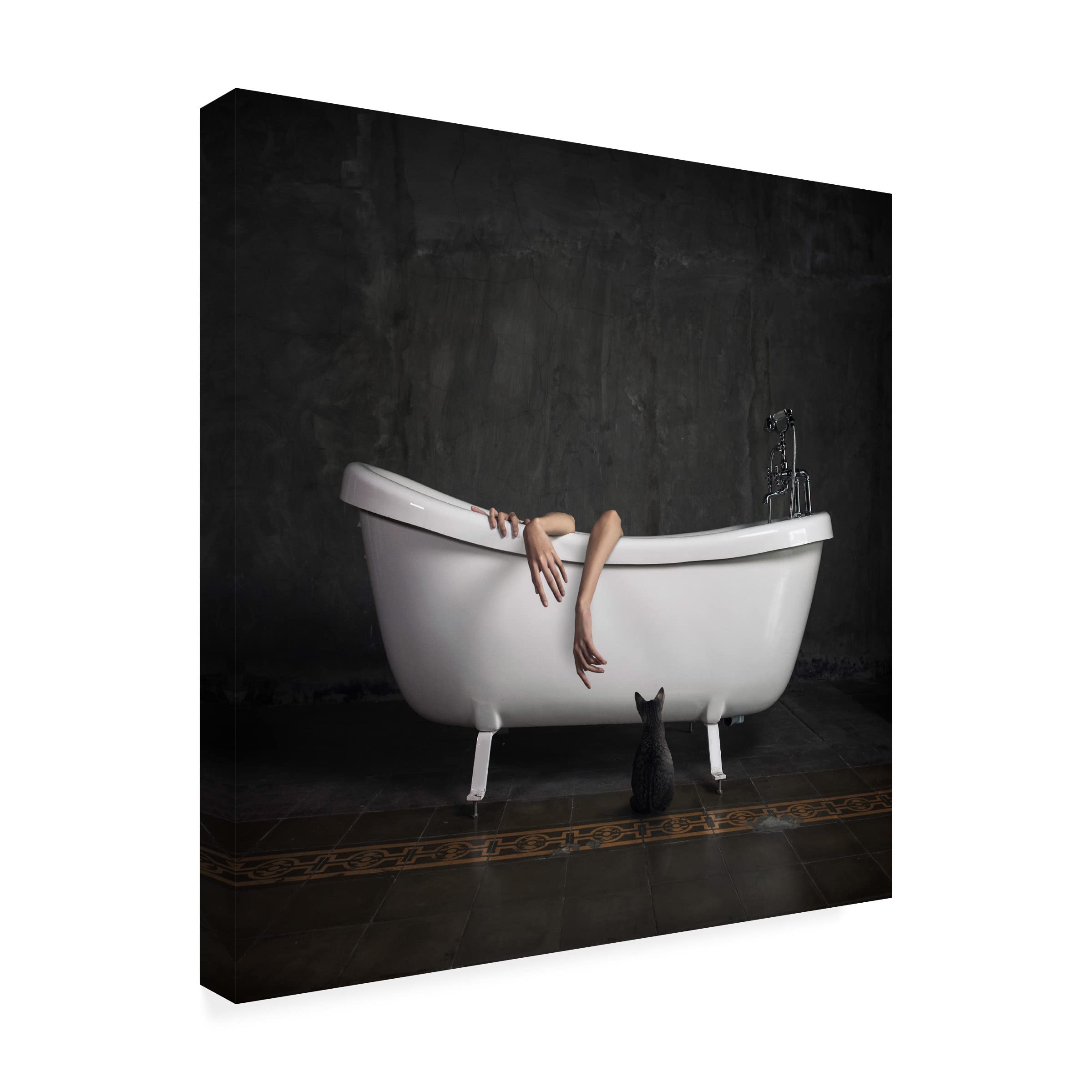 Trademark Fine Art 'Bathroom Stories I' Canvas Wall Art Print by Hardibudi - Perfect for Bathroom, Living Room & Bedroom Decor