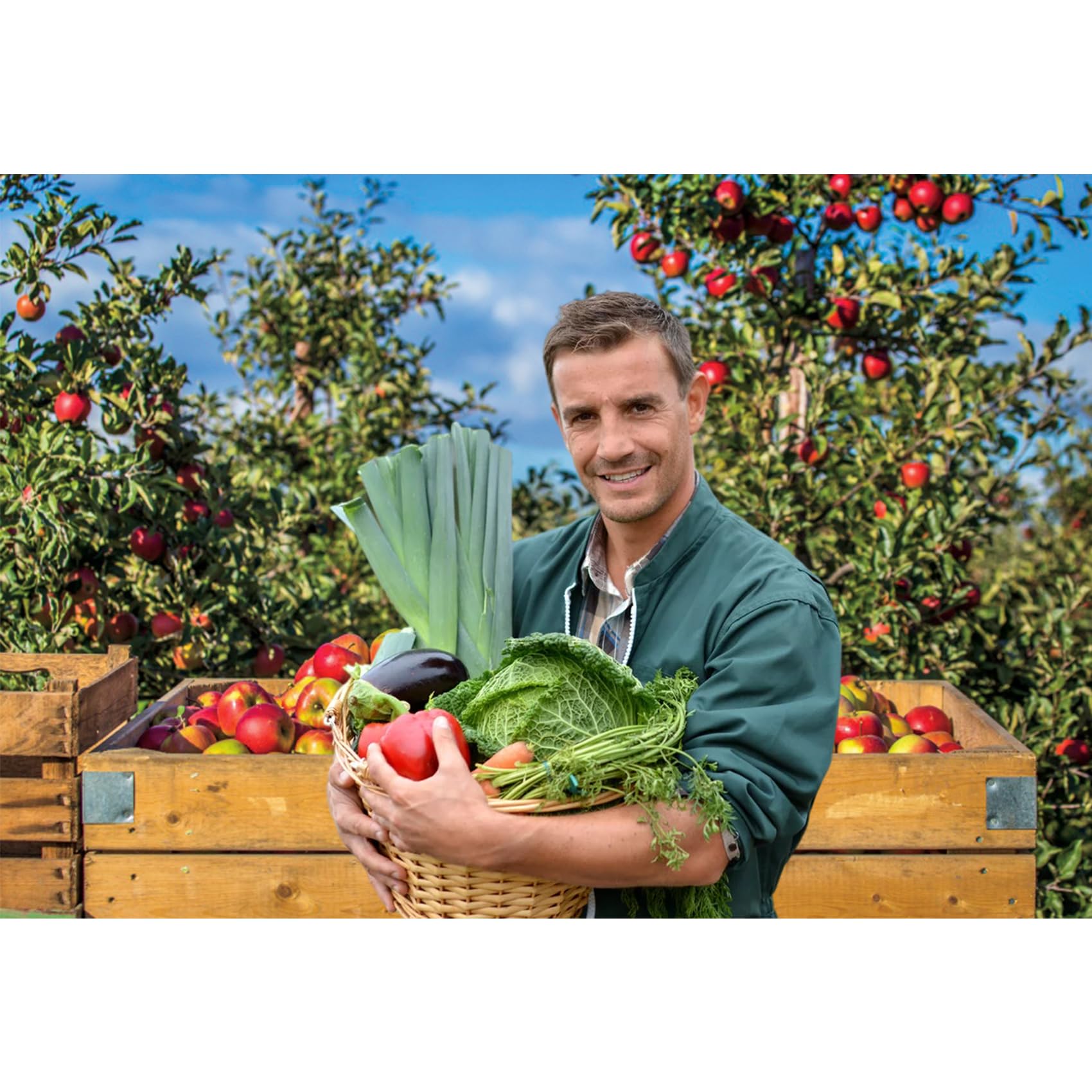Baocicco 9x6ft Autumn Orchard Photography Backdrop - Farmland Apple Tree Scene with Wooden Crates for Thanksgiving Decor, Family Portraits, Vlog Background & Photo Booth Props - Perfect for Harvest Festivals, Fall Parties and Seasonal Photography