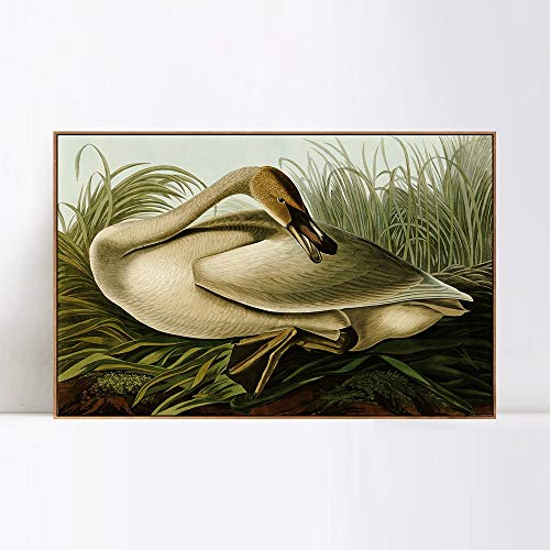 Wood Color Slim Frame