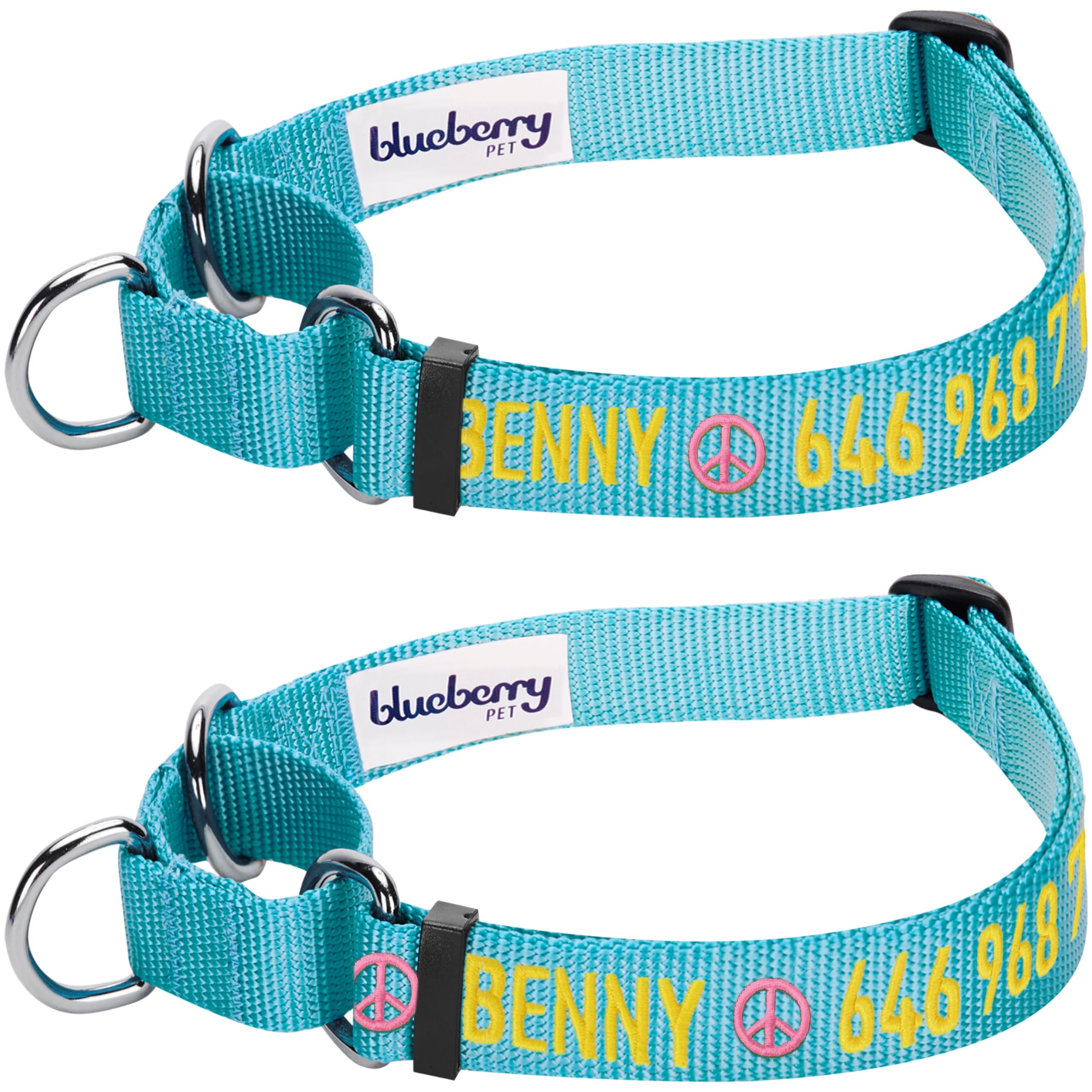 **Personalized Martingale Dog Collar - Adjustable Safety Training Collar with Embroidered Pet Name & Phone Number - Turquoise Blueberry Pet Essentials for Medium Dogs - Perfect for Walks, Training & Outdoor Adventures**