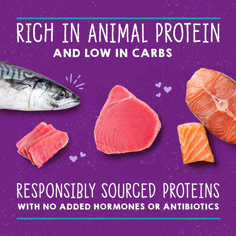 Premium Wet Cat Food - 100% Complete Balanced Diet with Salmon, Tuna & Mackerel for Adult Cats | High Protein, Grain-Free Recipe | Perfect for Picky Eaters & Indoor Cats