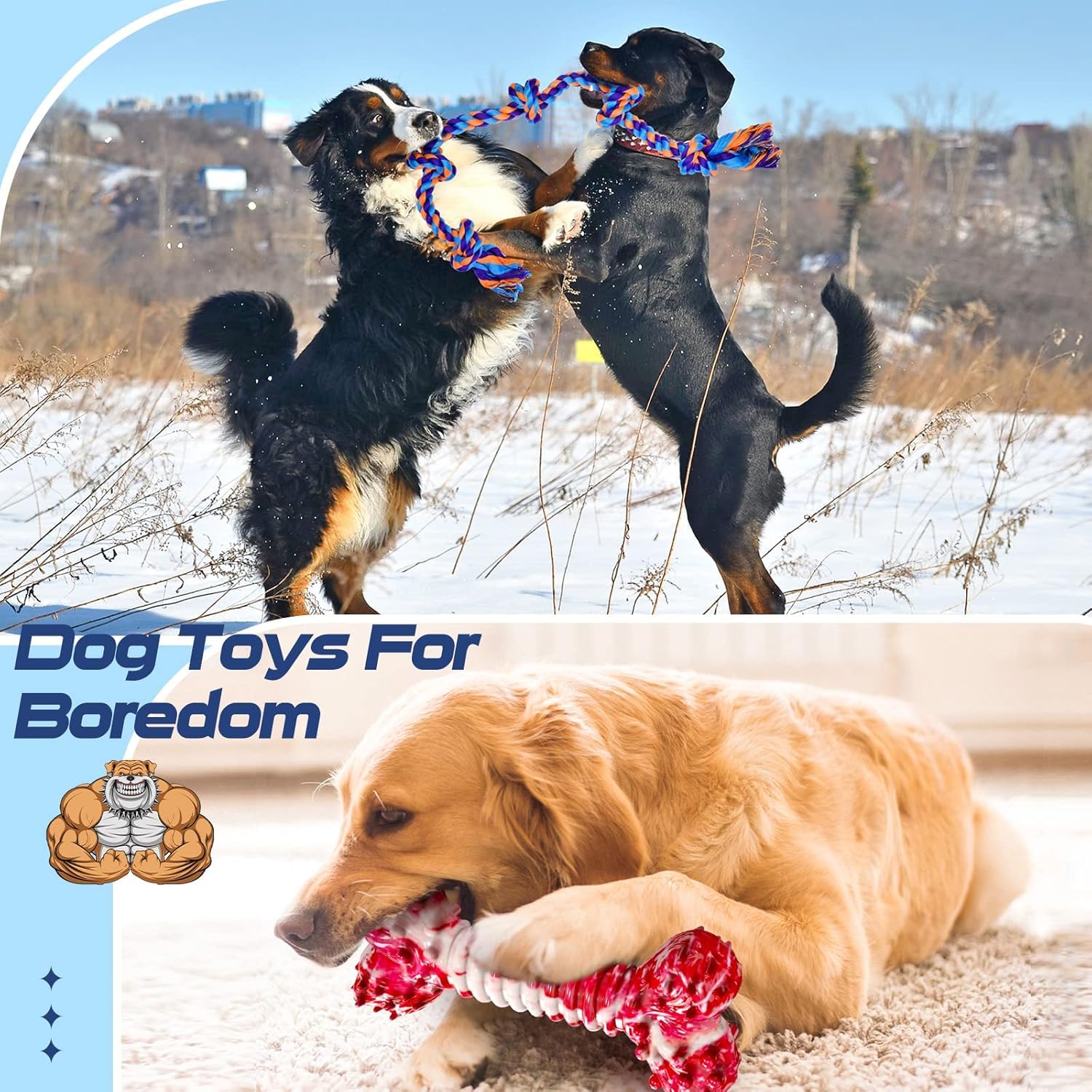 SHARLOVY 5 Pack Indestructible Dog Chew Toys for Aggressive Chewers - Tough Cotton Rope & Bone Chew Toys for Large Breed Dogs - Perfect for Playtime, Training, and Dental Health