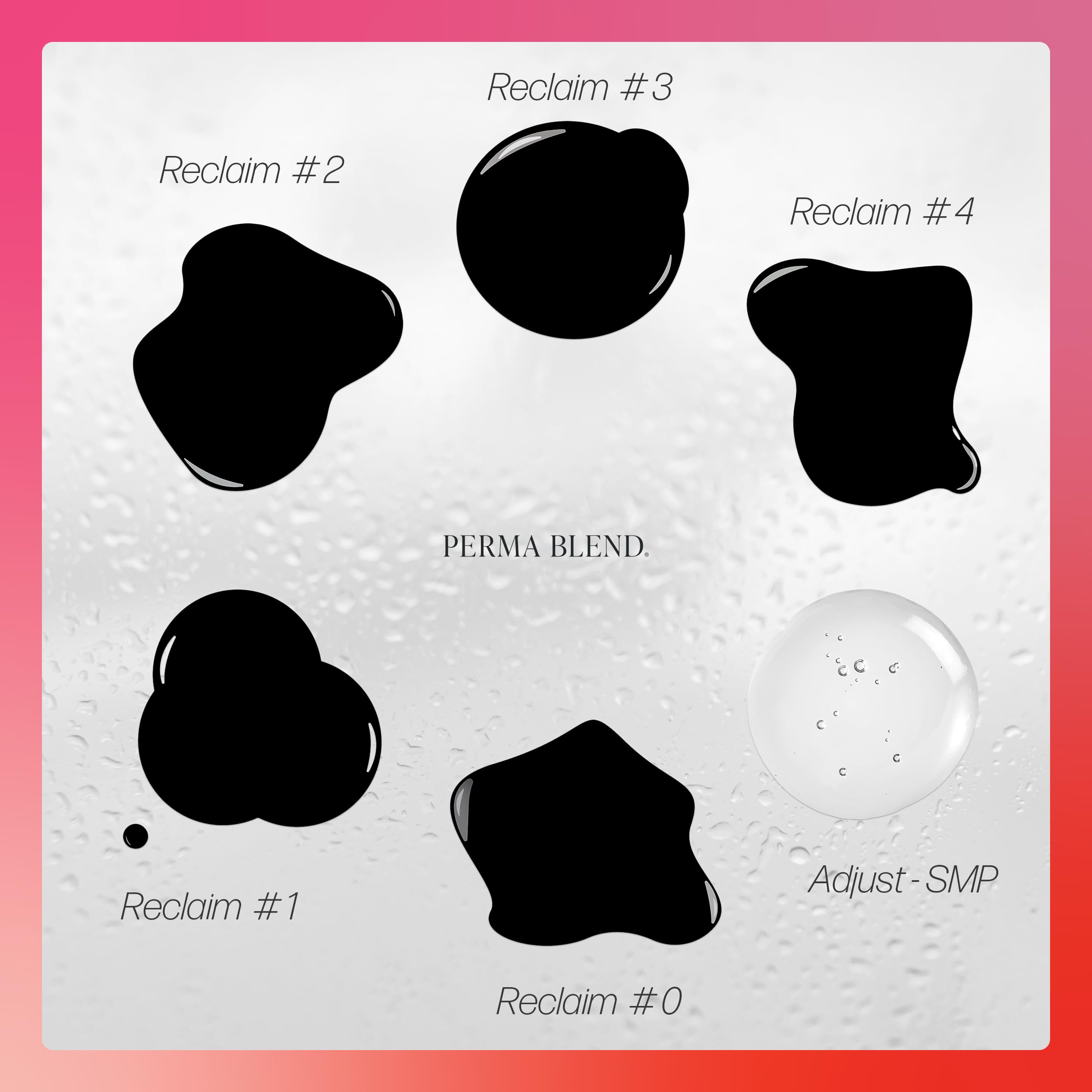Perma Blend Luxe Stevey G. Reclaim Set - SMP Scalp Micro-Pigmentation Kit for Hairlines & Bald Spots - Permanent Tattoo Ink Set (6x0.5oz) - Vegan, Cruelty-Free - Perfect for Barbers, Tattoo Artists & SMP Professionals