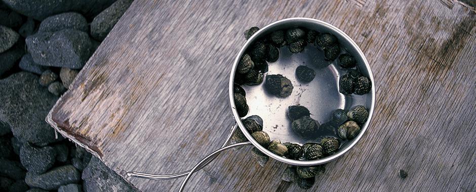 Ultralight Titanium Camping Cookset - Compact & Durable Backpacking Cookware for Hiking, Travel & Outdoor Adventures