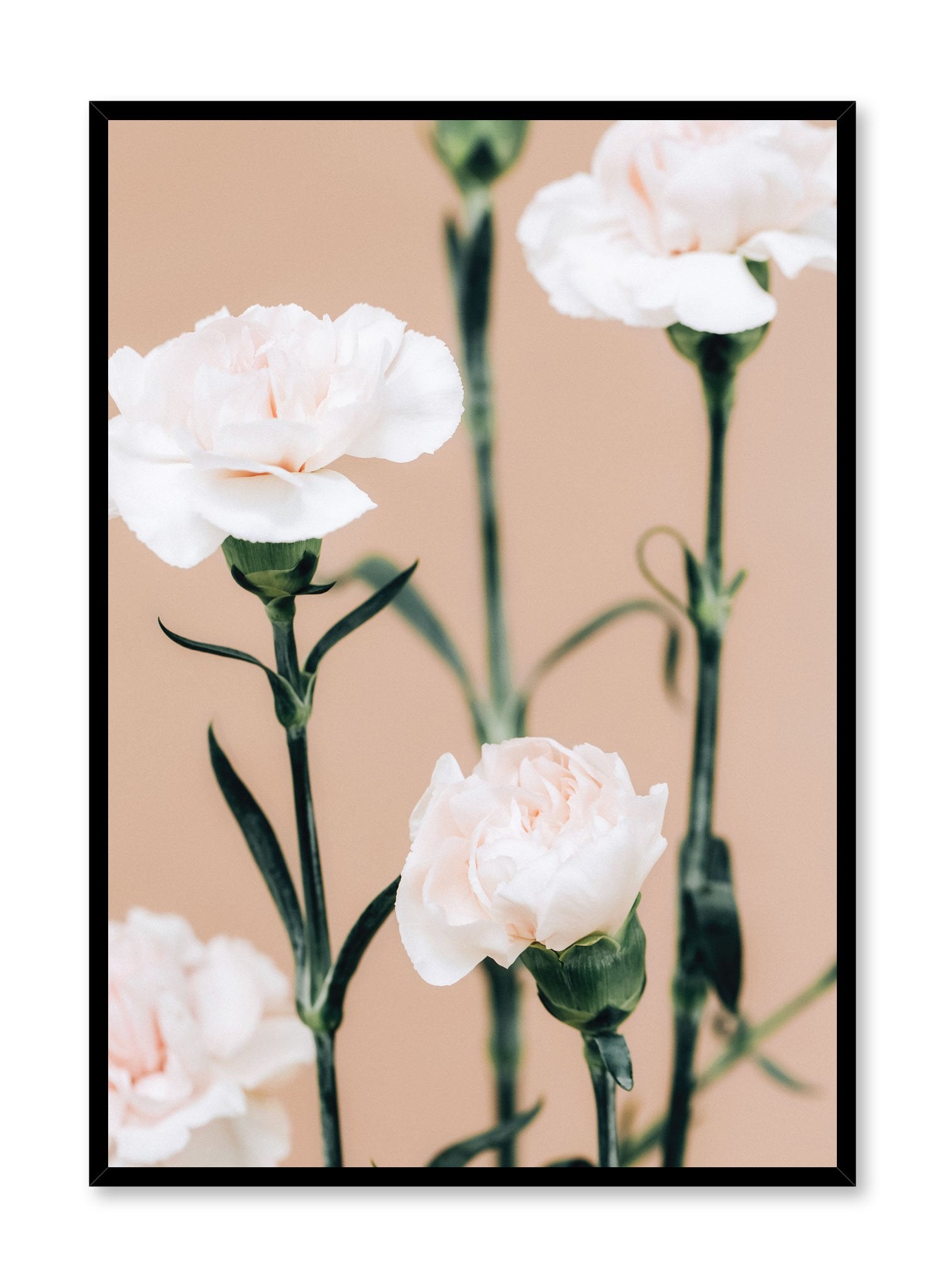 Pink Carnations Poster - Beautiful Floral Wall Art Decor for Home, Office, or Gift - Perfect for Living Room, Bedroom & Wedding Decorations