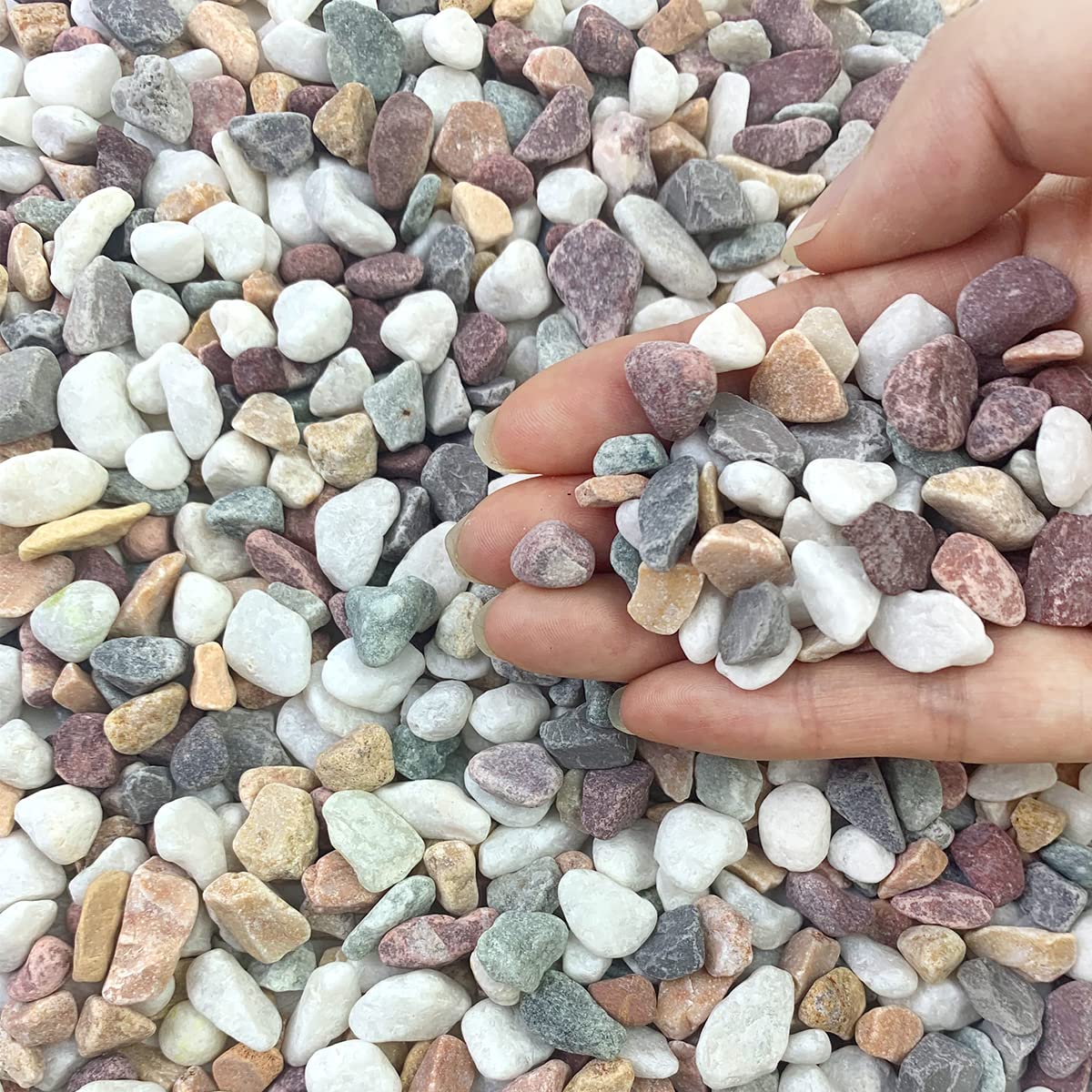 2 lbs Natural Mixed Color Pea Gravel Pebbles | 3/8 Inch Decorative Rocks for Succulents, Indoor Plants, Vases & Aquariums | Perfect for Top Dressing, Zen Gardens, Landscaping & Home Decor