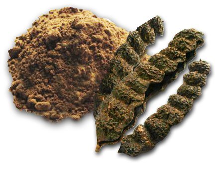 Organic Ayurvedic Hair Care Powders Set - Amla, Hibiscus, Neem, Shikakai, Henna, Bhringraj & Reetha (40g Each) for Hair Growth, Dandruff Treatment & Scalp Health - DIY Natural Hair Masks & Herbal Remedies