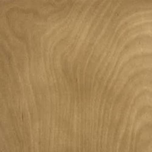 Modern Birch