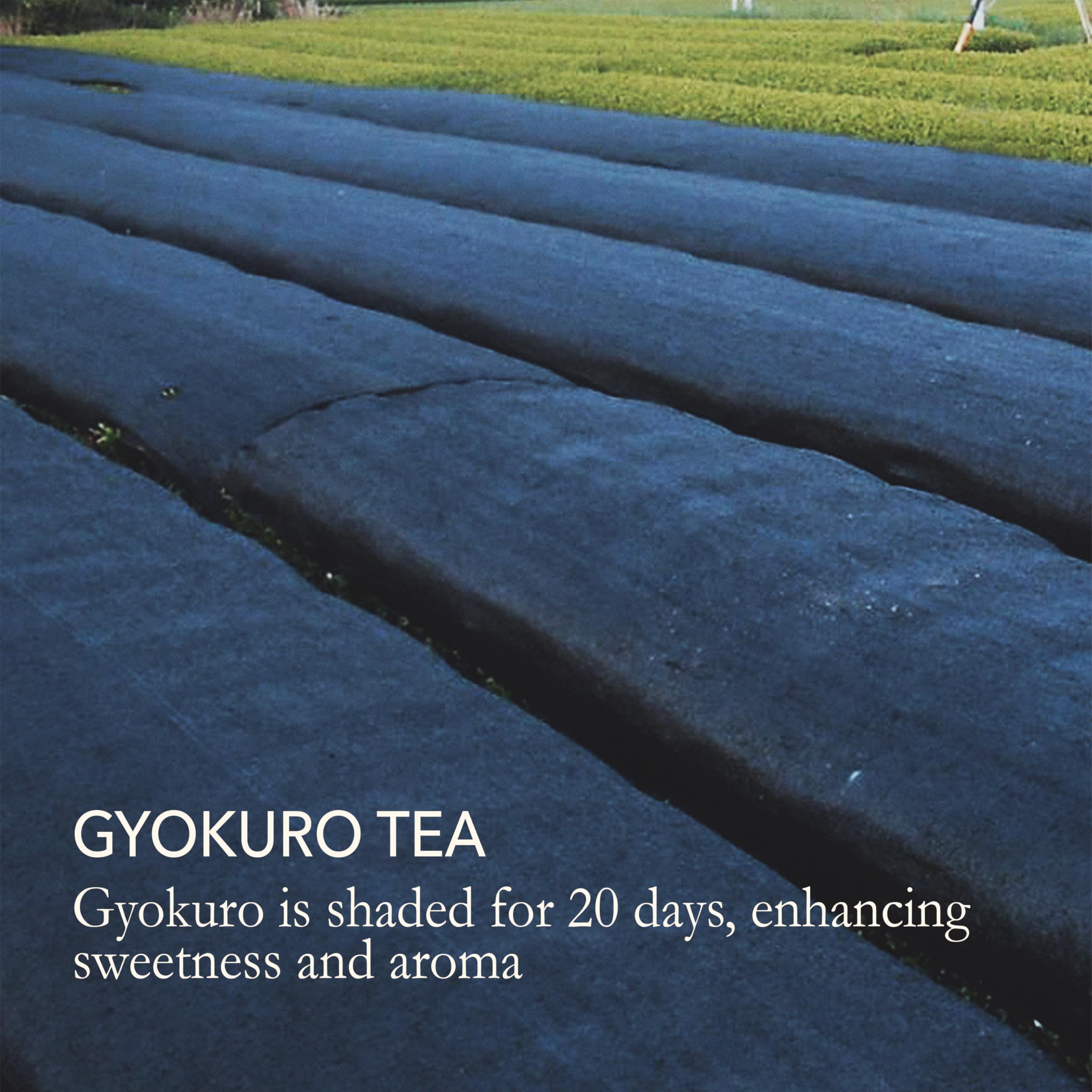 Premium Gyokuro, Issaku & Nozomi Japanese Green Tea Gift Set - Single Origin, All-Natural, Non-GMO, Sugar-Free Loose Leaf Tea Collection - Perfect for Tea Ceremonies, Daily Relaxation & Gourmet Gifting