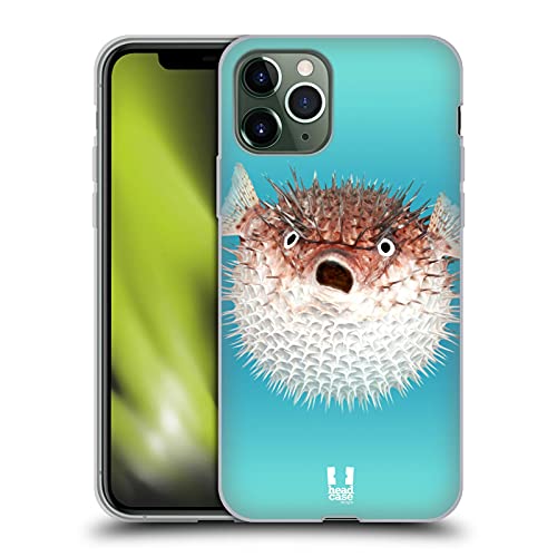 Frontal View Of Porcupinefish
