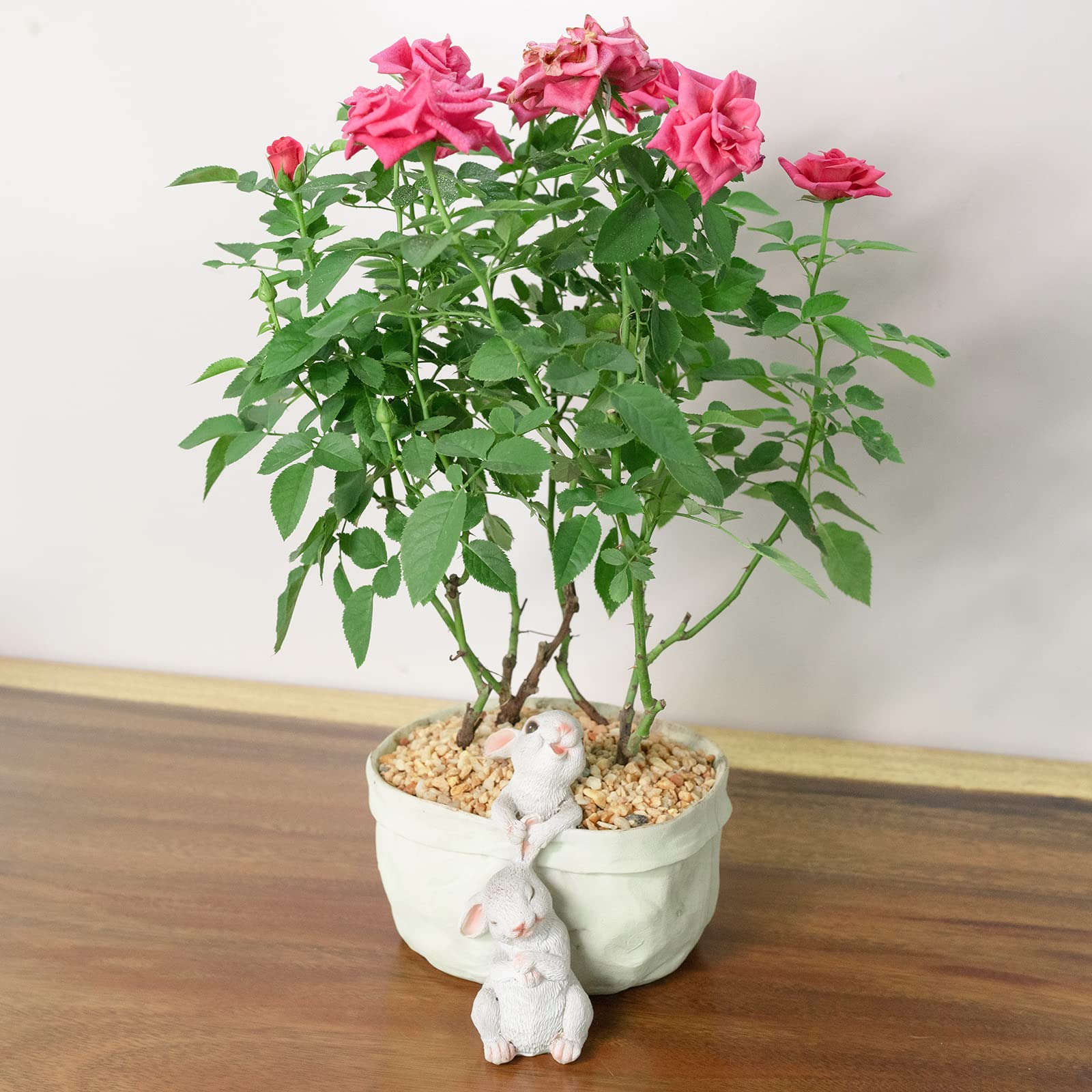 Rabbit Flower Pot Succulent Planter - Bunny Shaped Resin Garden Pots for Cactus & Small Plants, Decorative Animal Planter with Cartoon Design - Perfect for Home Decor, Office Desk & Gift Giving (No Drainage Hole)