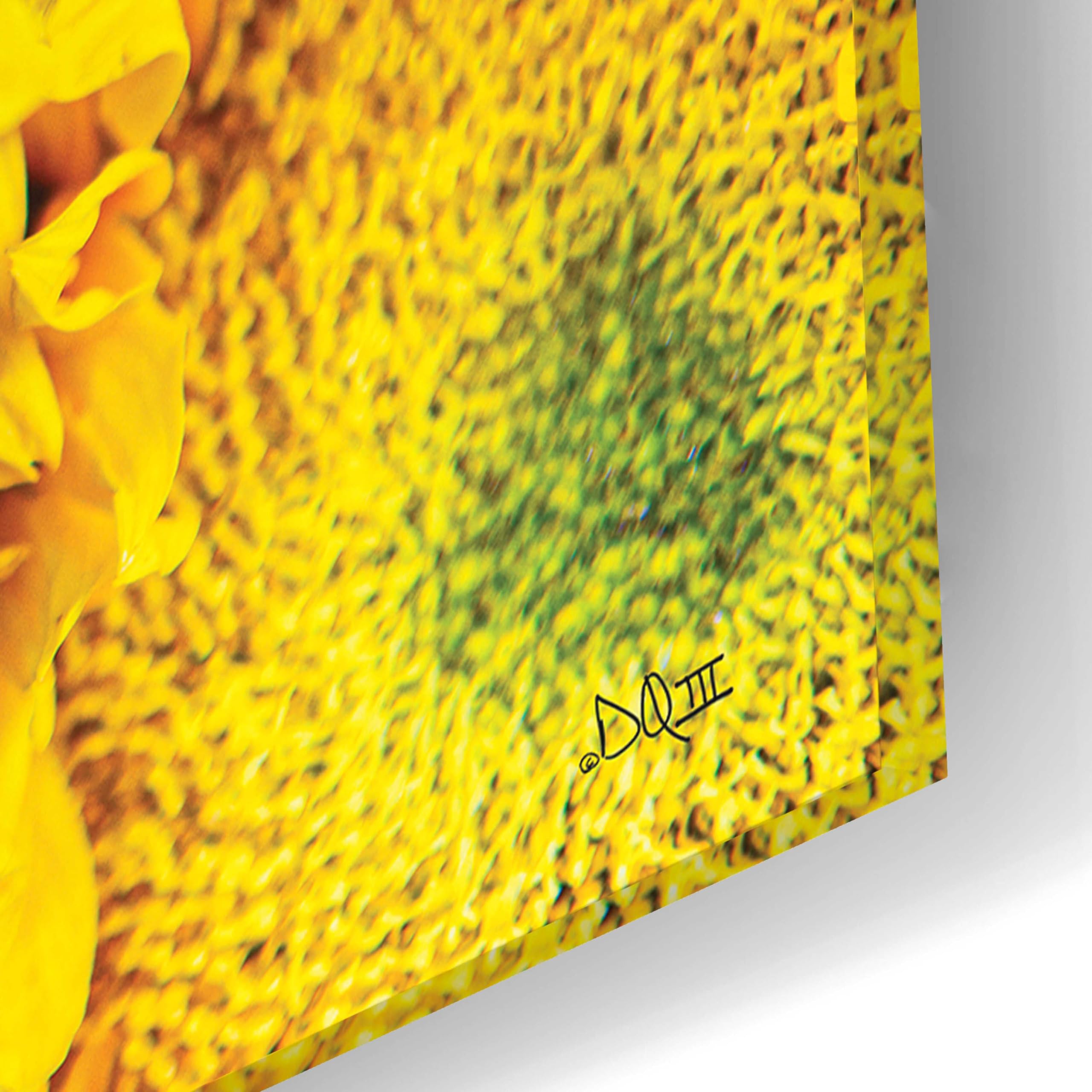 Epic Art 'Sunflower Summer' by Donnie Quillen - Vibrant Acrylic Glass Wall Art Decor 24