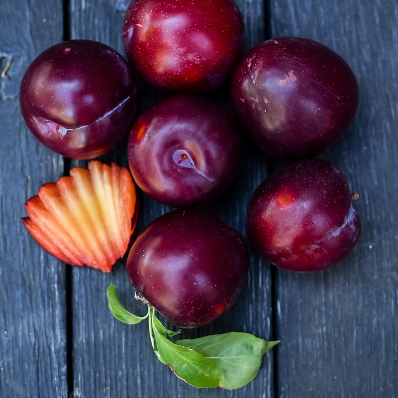 Fresh Organic Santa Rosa Plums - Sweet Juicy California-Grown Fruit for Snacks, Baking & Healthy Smoothies