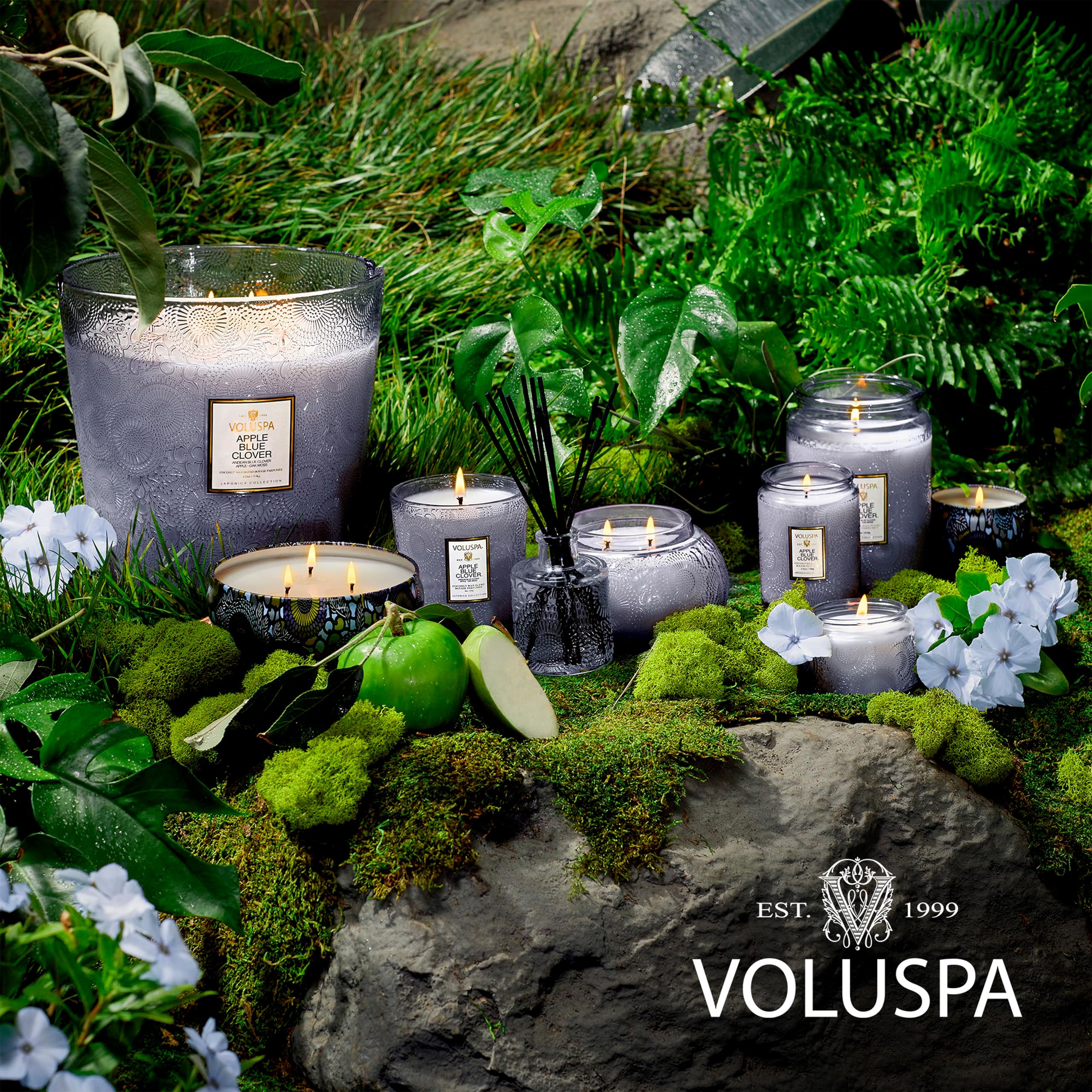 Voluspa Apple Blue Clover Mini Tin Candle - 4 oz Coconut Wax Candle with 25 Hour Burn Time, Handcrafted in USA | Clean Burning, Aromatherapy, Home Decor, Gift for Holidays & Relaxation