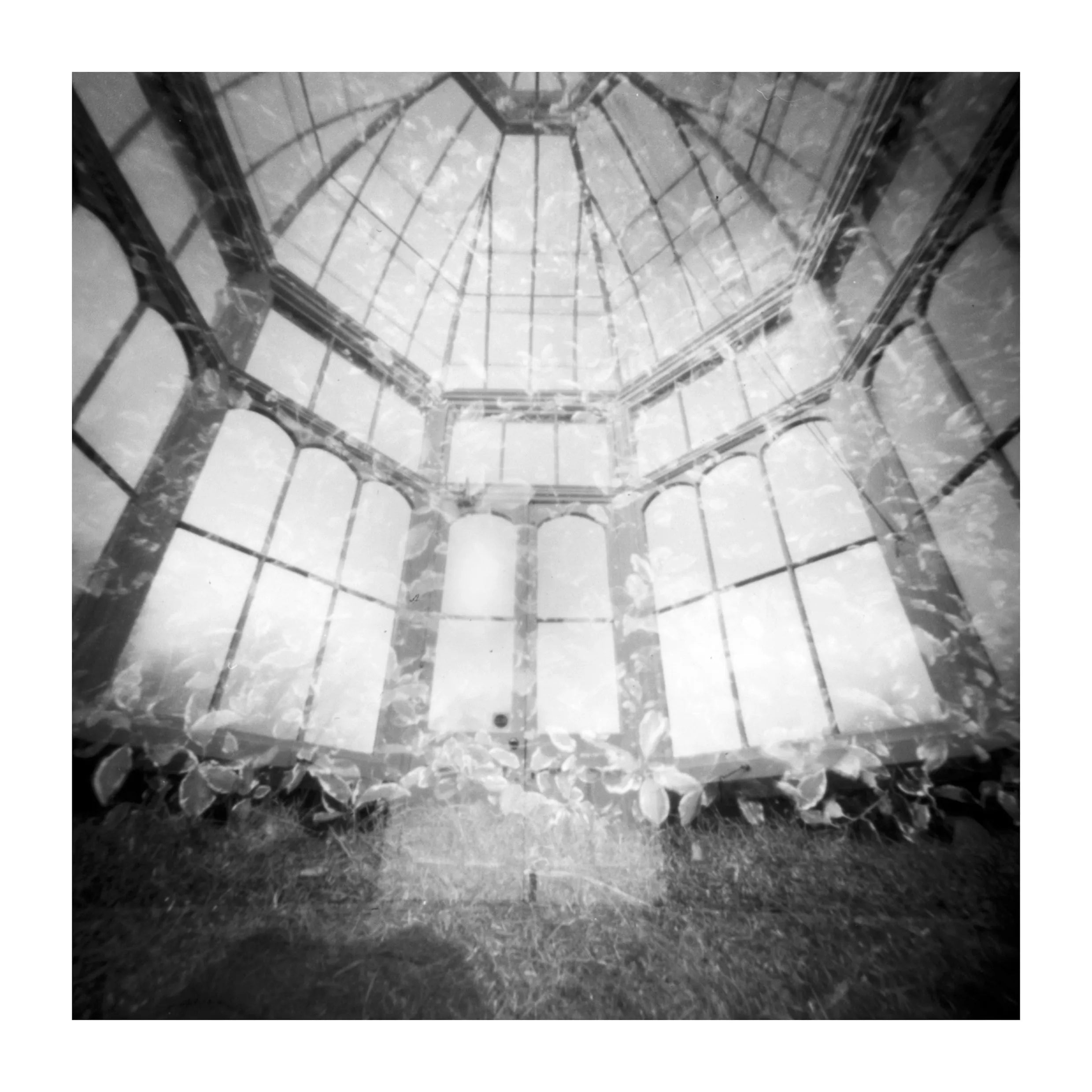 Natura Obscura by Barry Duggan - Unique Handcrafted Home Decor & Wall Art for Living Room, Bedroom, and Office