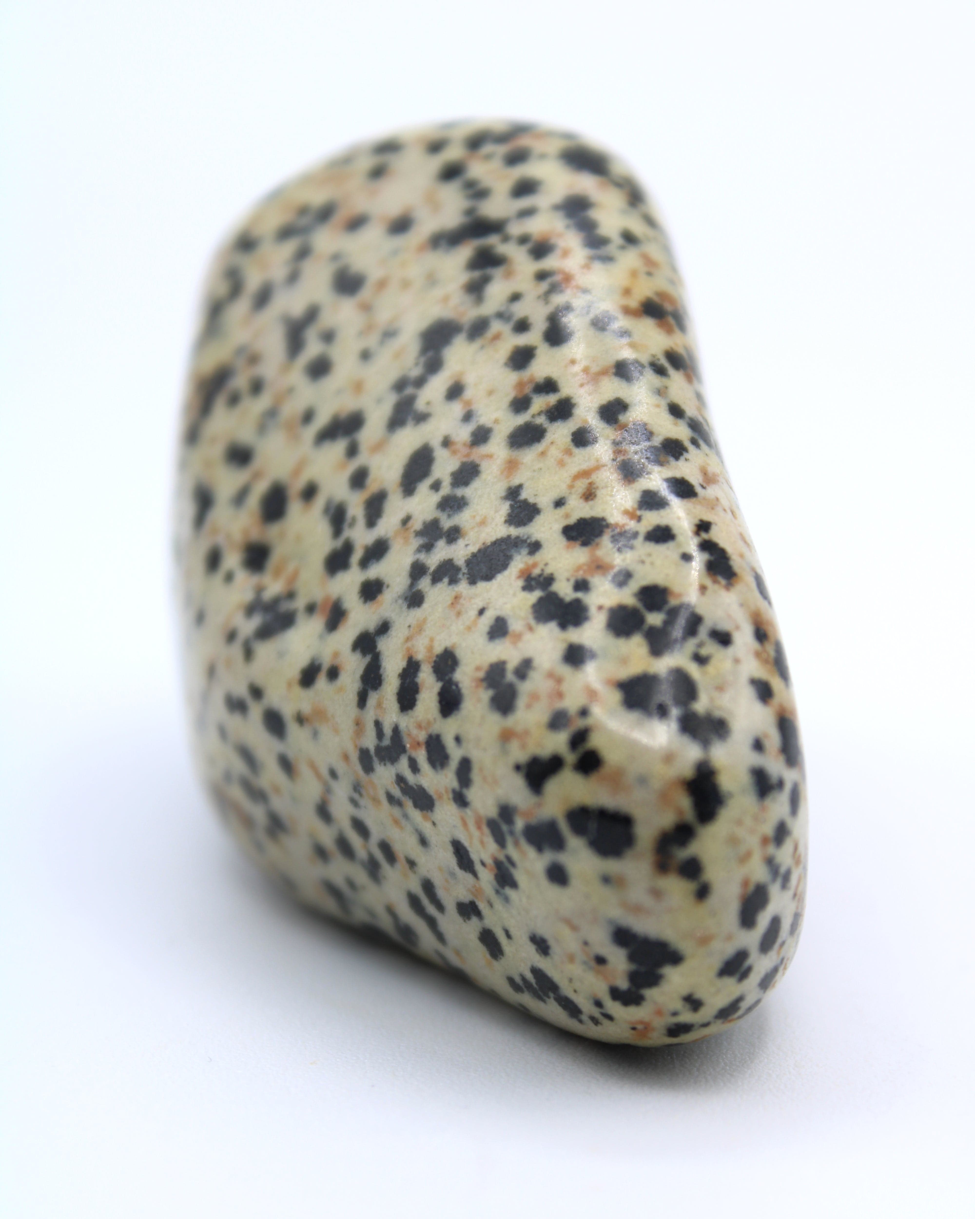 Natural Dalmatian Jasper Free Form Stone - Healing Crystal for Meditation, Home Decor & Spiritual Gifts | Perfect for Yoga, Reiki & Energy Work