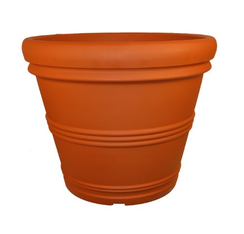 Terra Cotta