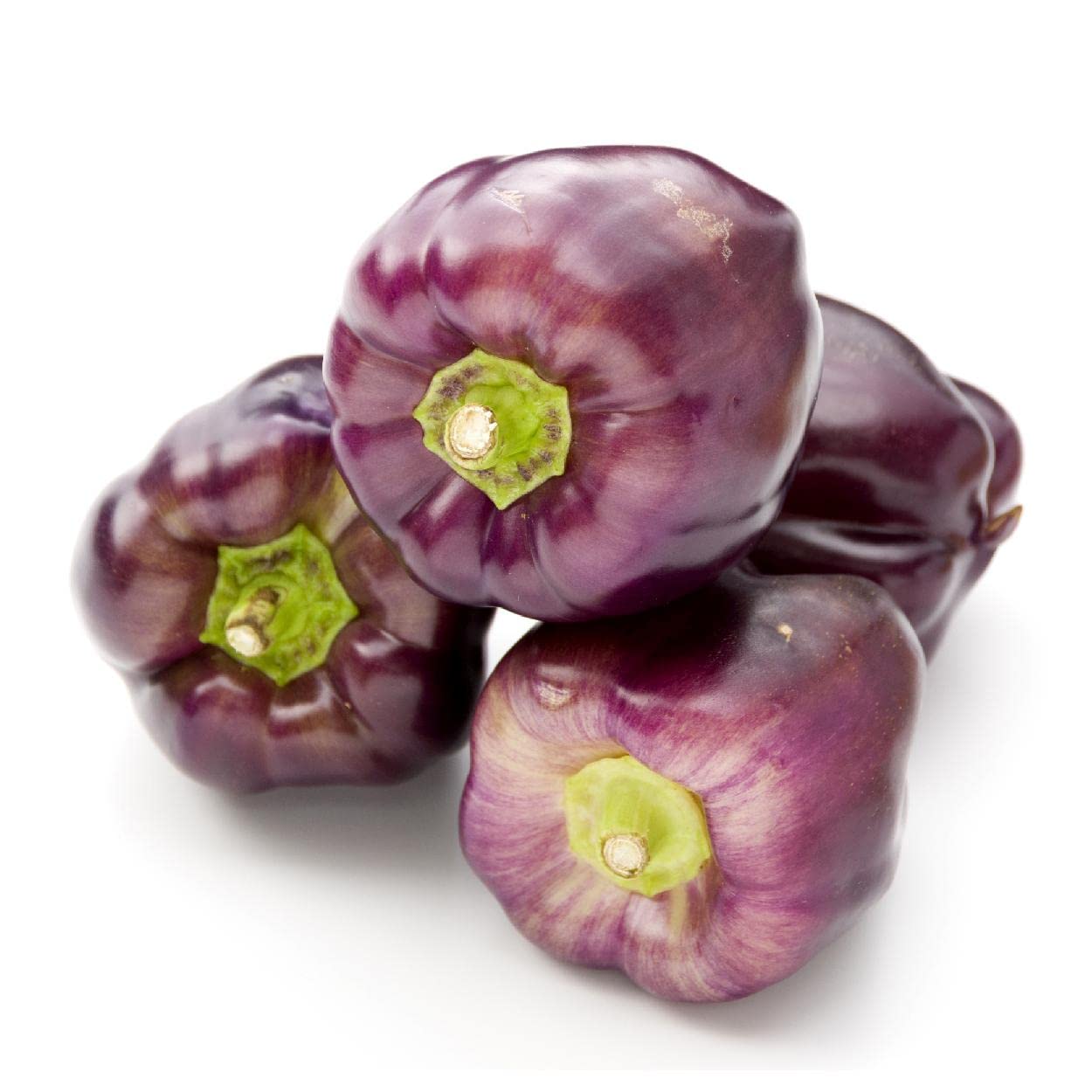 Everwilde Farms - 25 Purple Beauty Sweet Pepper Seeds - Non-GMO, Heirloom, Gold Vault Jumbo Seed Packet for Home Gardening, Container Planting & Fresh Salads