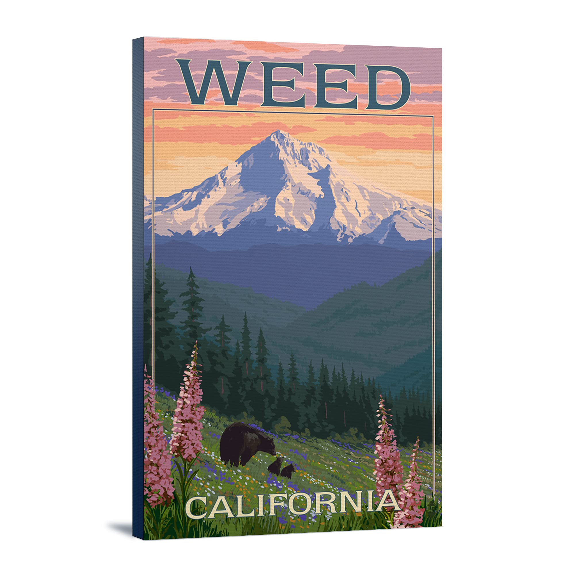 Lantern Press Weed California Bear and Spring Flowers 16x24 Wrapped Canvas Wall Art - Perfect for Living Room, Bedroom, or Office Decor