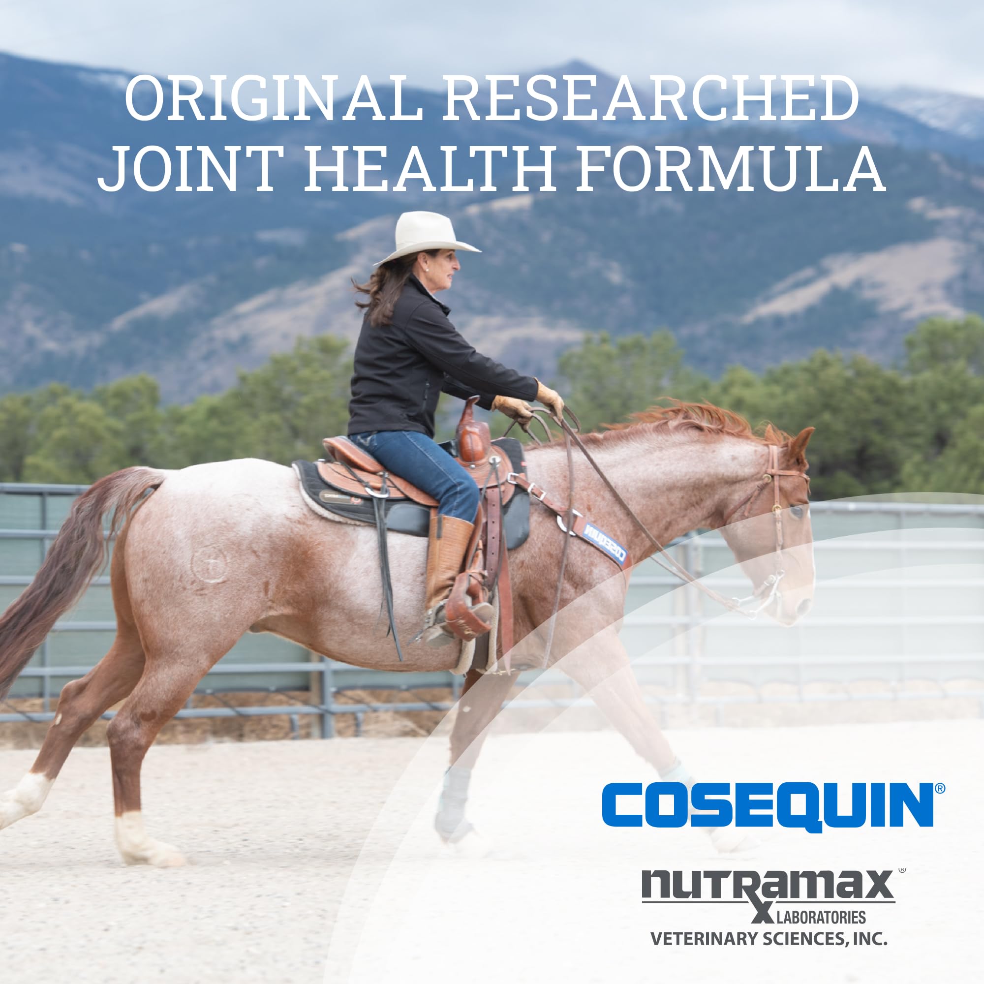 Nutramax Cosequin Original Joint Health Supplement Powder for Horses - Glucosamine & Chondroitin Formula (1400g) | Supports Mobility & Comfort for Active & Senior Horses
