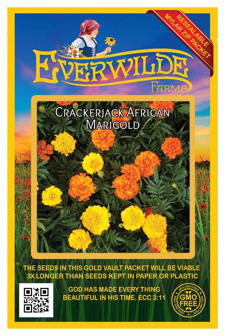 Everwilde Farms - 500 Crackerjack African Marigold Wildflower Seeds - Gold Vault Jumbo Seed Packet for Garden Planting, Landscaping & Pollinator Gardens