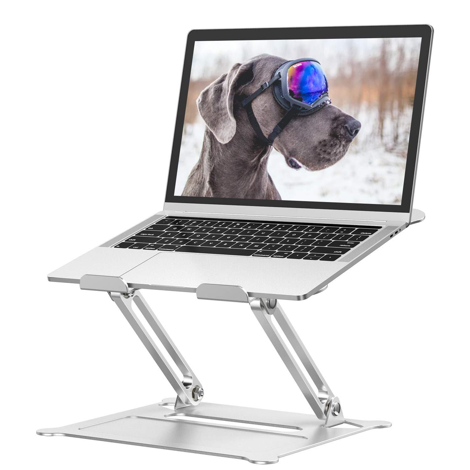 Pannon Adjustable Aluminum Laptop Stand - Multi-Angle Foldable Desktop Riser with Heat Vent, Compatible with 10-17 Inch PC Notebooks & Tablets, Silver - Perfect for Home Office & Remote Work