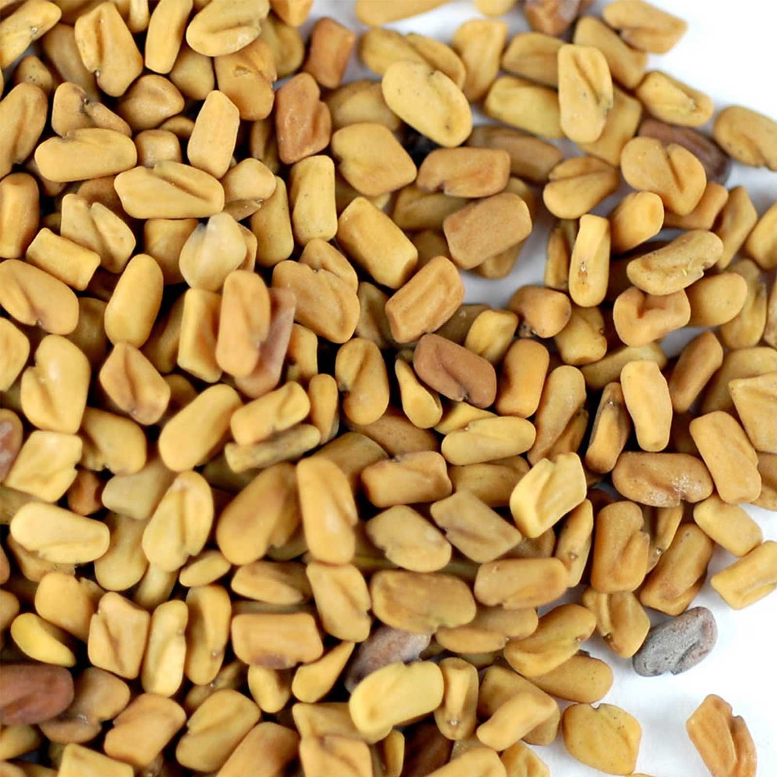 Organic Fenugreek Sprouting Seeds - 4 oz Non-GMO Seeds for Planting, Hydroponics & Microgreens - Handy Pantry Brand - Perfect for Home Gardening, Sprout Growing & Spice Grinding - Great for Salads, Smoothies & Indian Cooking