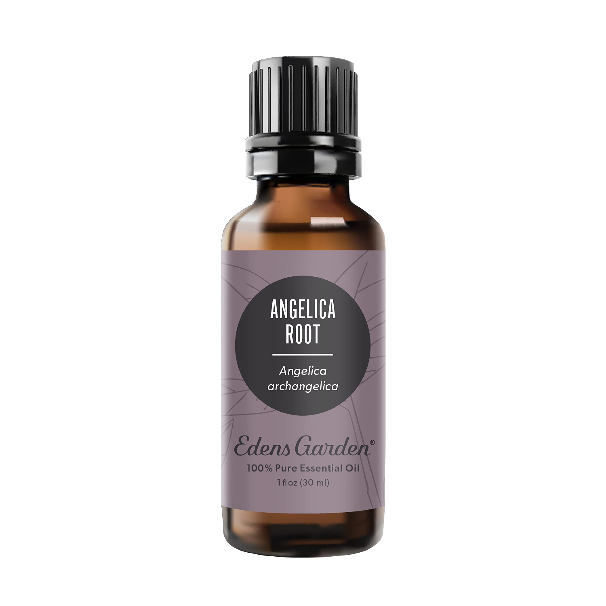 Edens Garden Angelica Root Essential Oil - 100% Pure, Undiluted, Therapeutic Grade for Aromatherapy | Best for Diffusers, Candles, Laundry & Safe for Kids | 30ml (1 fl oz) | Relaxation, Stress Relief & Home Fragrance