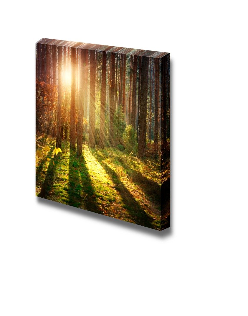 Autumn Misty Forest Canvas Print - 16x16 Inch Stretched Gallery Wrap, Ready to Hang | Modern Home Wall Art Decor for Living Room, Bedroom & Office - Giclee Fine Art Print