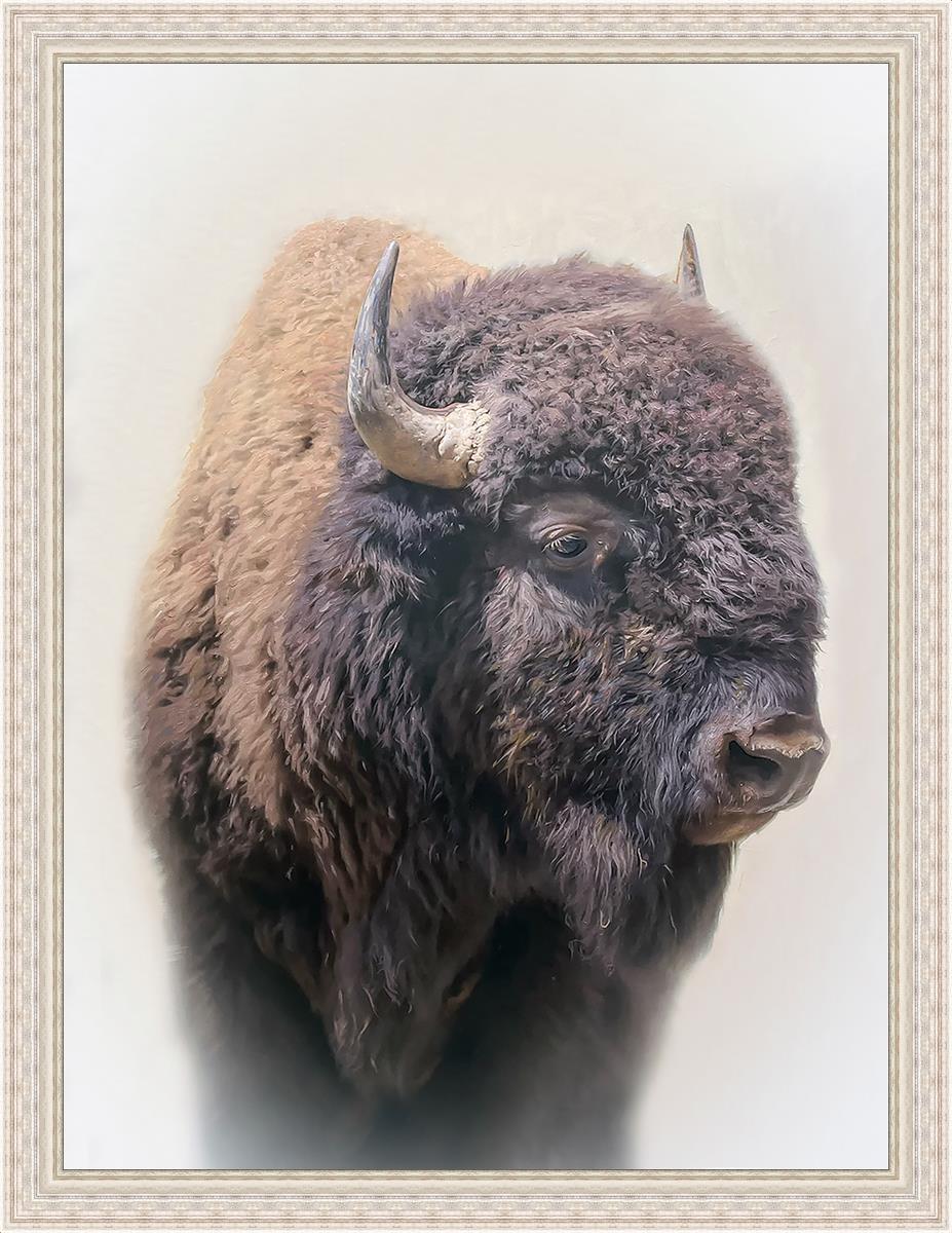 Bison Large Wall Art - Stunning Bison Canvas Print for Home & Office Decor | Perfect for Living Room, Bedroom, or Cabin Wall Decor