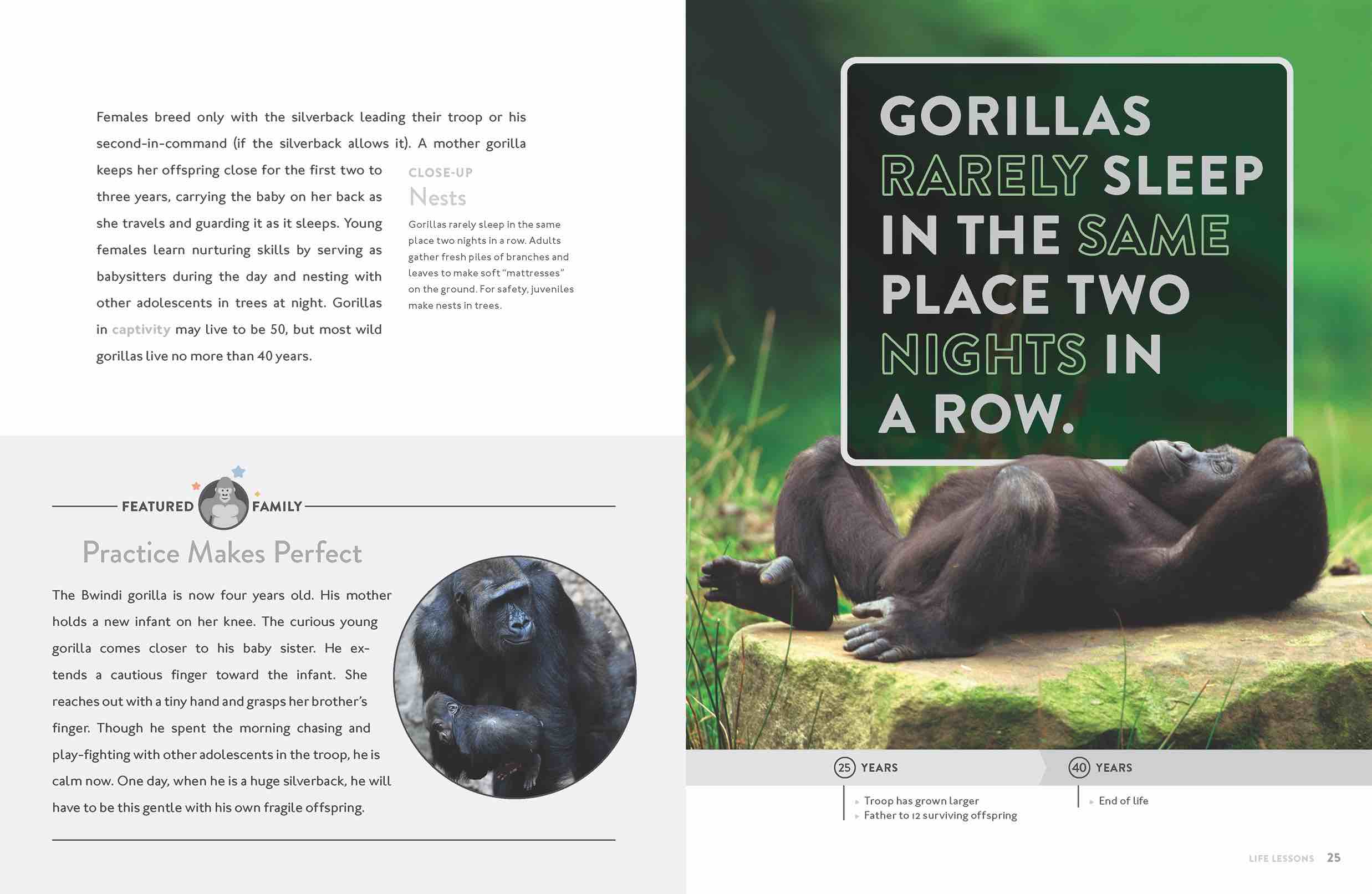 Gorilla 9781640263390 - Premium Gorilla Book for Kids & Adults - Perfect for Wildlife Enthusiasts, Animal Lovers, and Educational Use