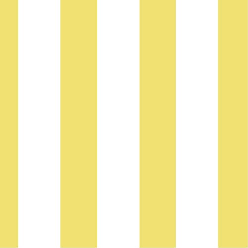 31 Classic- Yellow