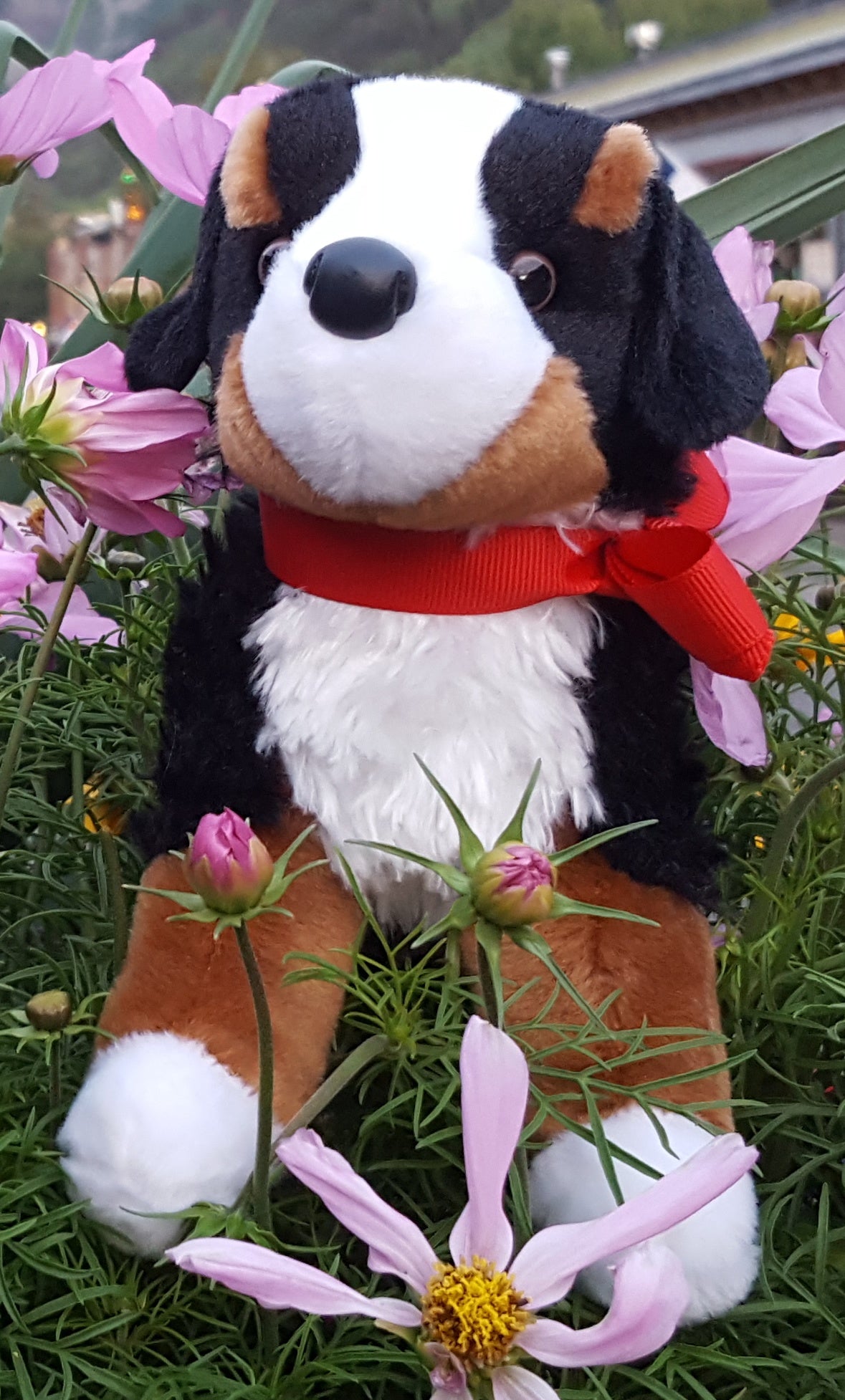 Premium Plush Bernese Mountain Dog Stuffed Animal - Signature Alpen Schatz Collection | Soft Cuddly Toy for Kids, Home Decor & Gift Idea