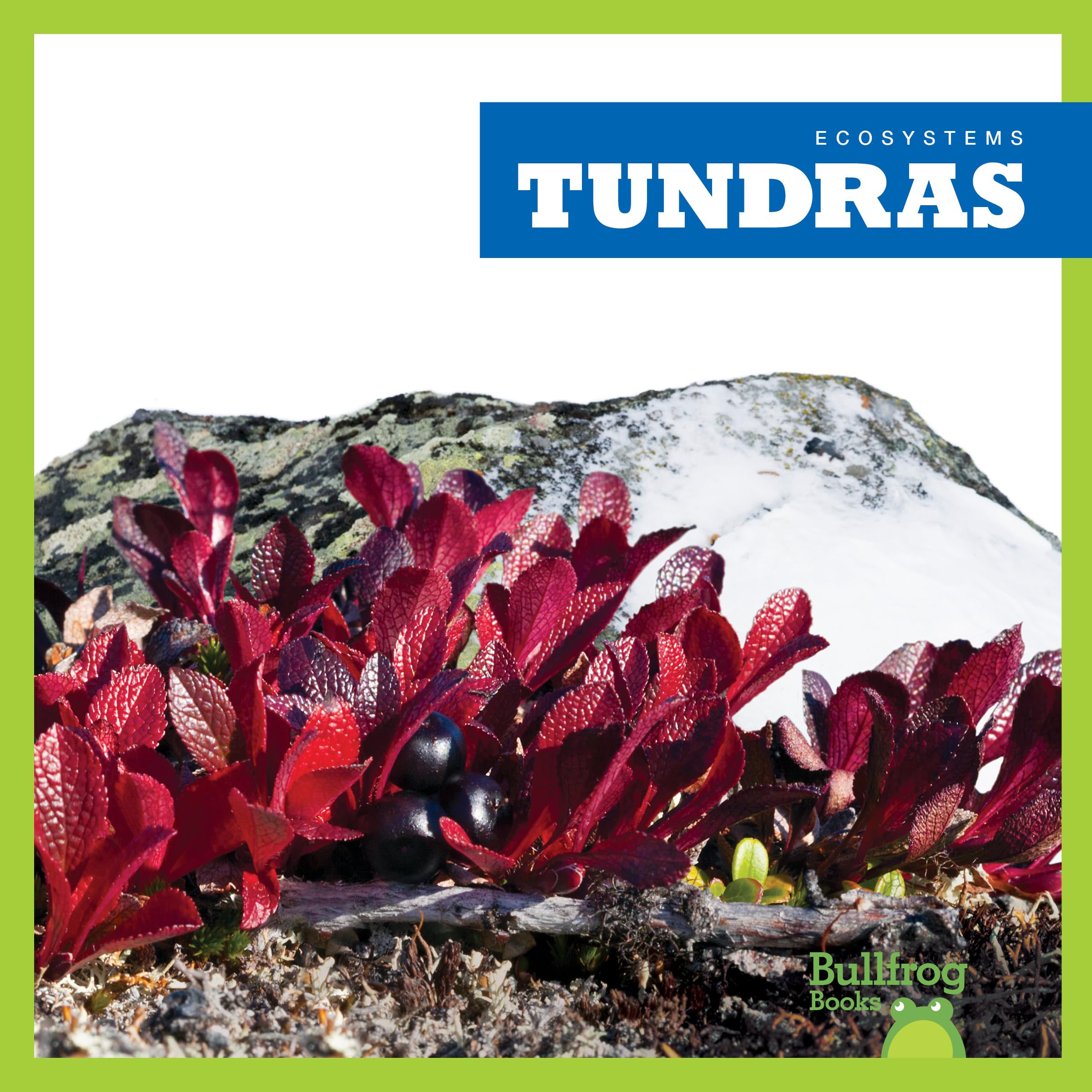 Tundras (Bullfrog Books: Ecosystems) - Explore Arctic Wildlife Habitats & Cold Climate Environments for Kids Learning