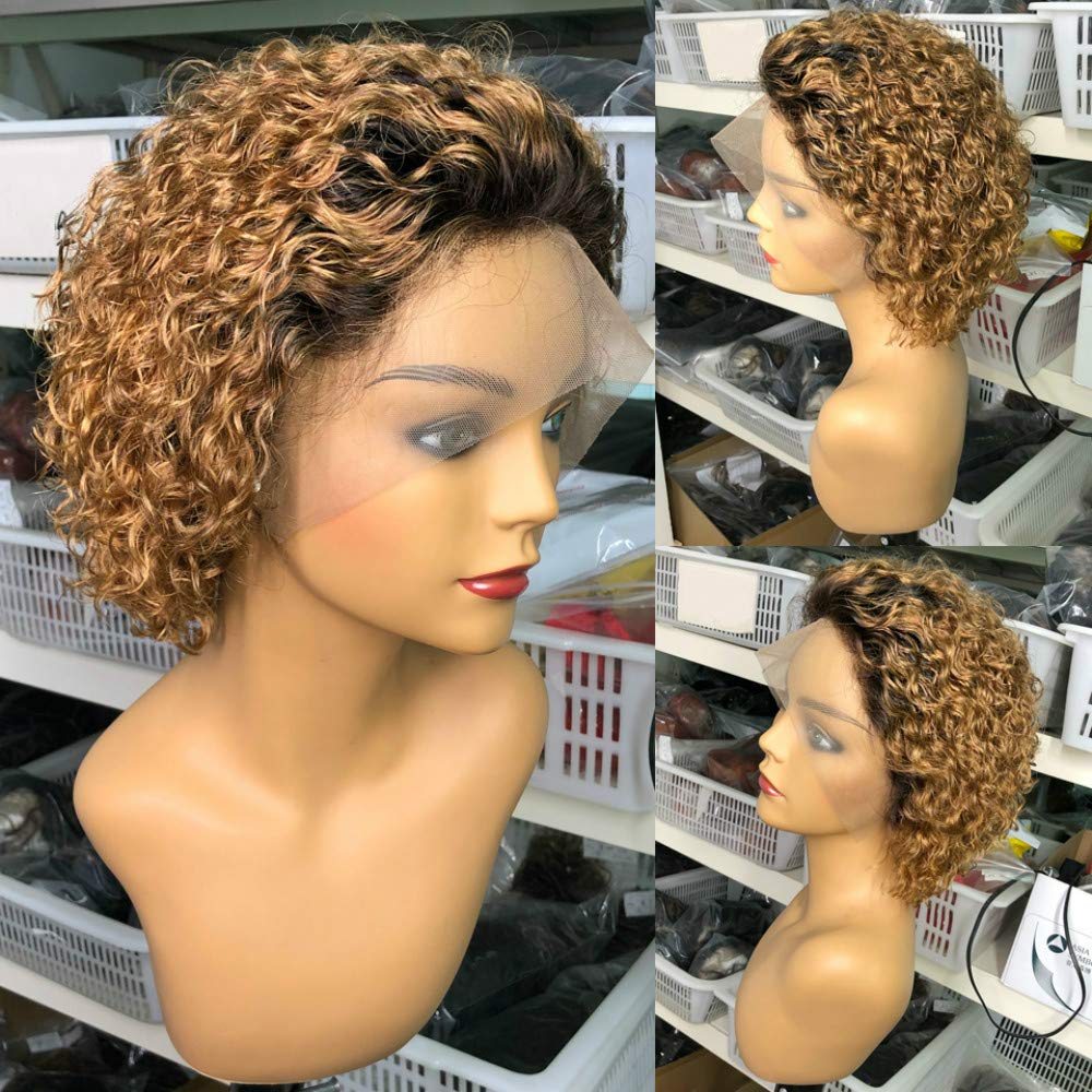 13×6 Lace Front Human Hair Wig - Short Curly Bob Wig for Black Women | Pre-Plucked Pixie Cut | 180% Density | Perfect for Daily Wear, Parties & Special Occasions