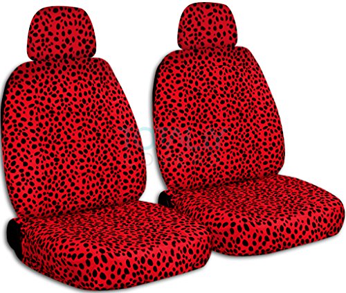 Ladybug