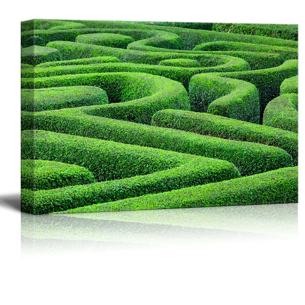 Modern Green Plant Maze Canvas Wall Art - Stretched Gallery Wrap Giclee Print - 16x24 Inch Ready to Hang - Nature Inspired Home Decor for Living Room, Bedroom & Office