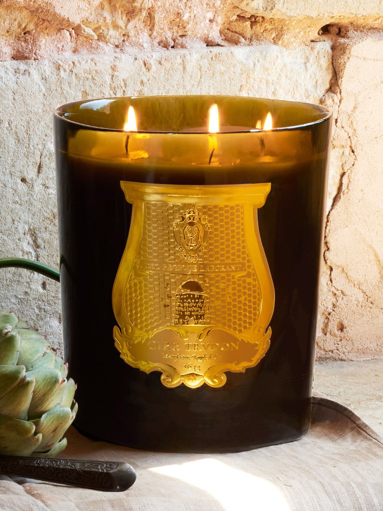 Premium Ernesto Scented Soy Wax Candles - Long Lasting Aromatherapy Candles for Home, Relaxation, Spa & Romantic Ambiance