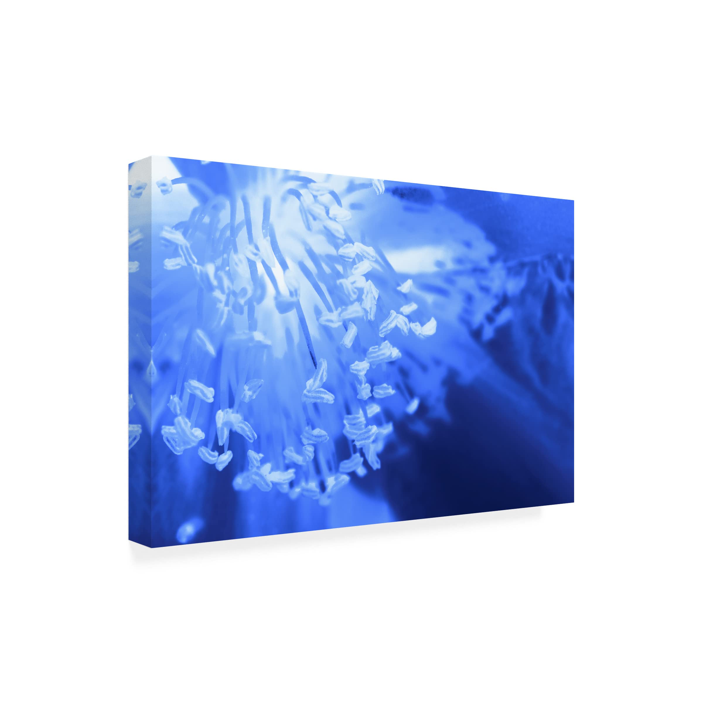 Eva Bane 'Sprayed with Blue 01' Abstract Canvas Wall Art - 16x24 Inches - Modern Home Decor for Living Room, Bedroom & Office