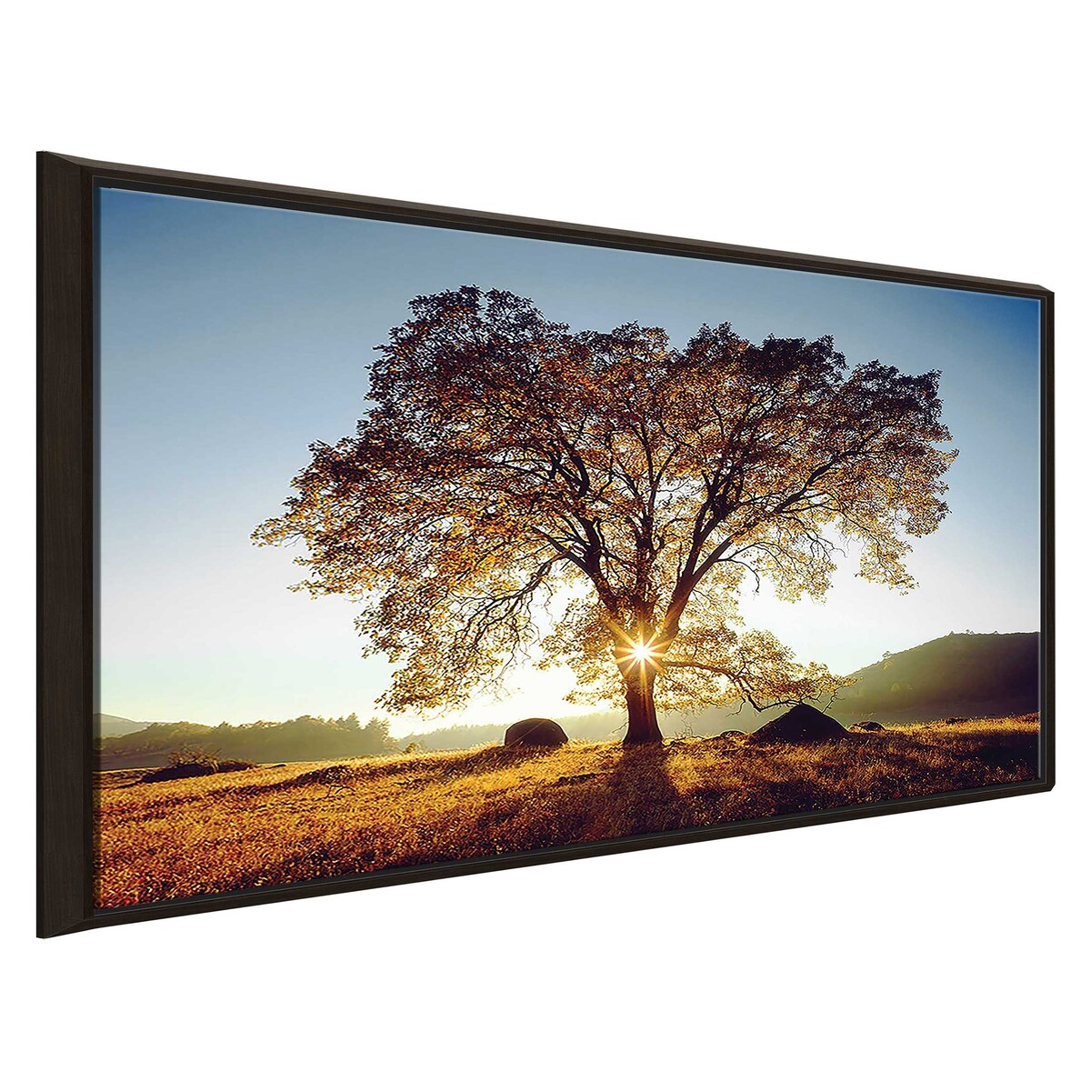 Black Oak Sunset Print on Floating Canvas - Modern Wall Art for Living Room, Bedroom & Office Decor