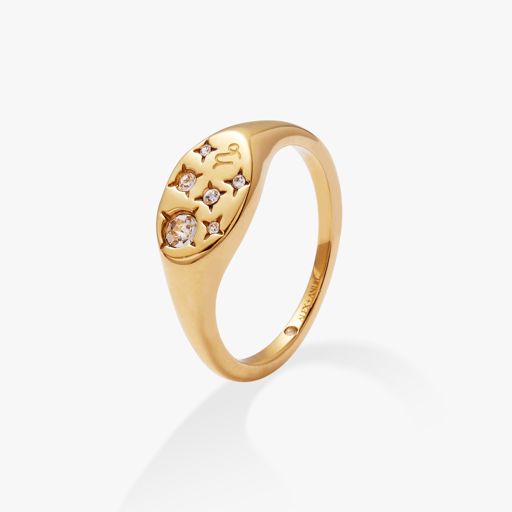Capricorn Zodiac Ring for Women & Men - Sterling Silver or Gold Plated Horoscope Jewelry - Perfect Gift for Birthday, Anniversary & Astrology Lovers