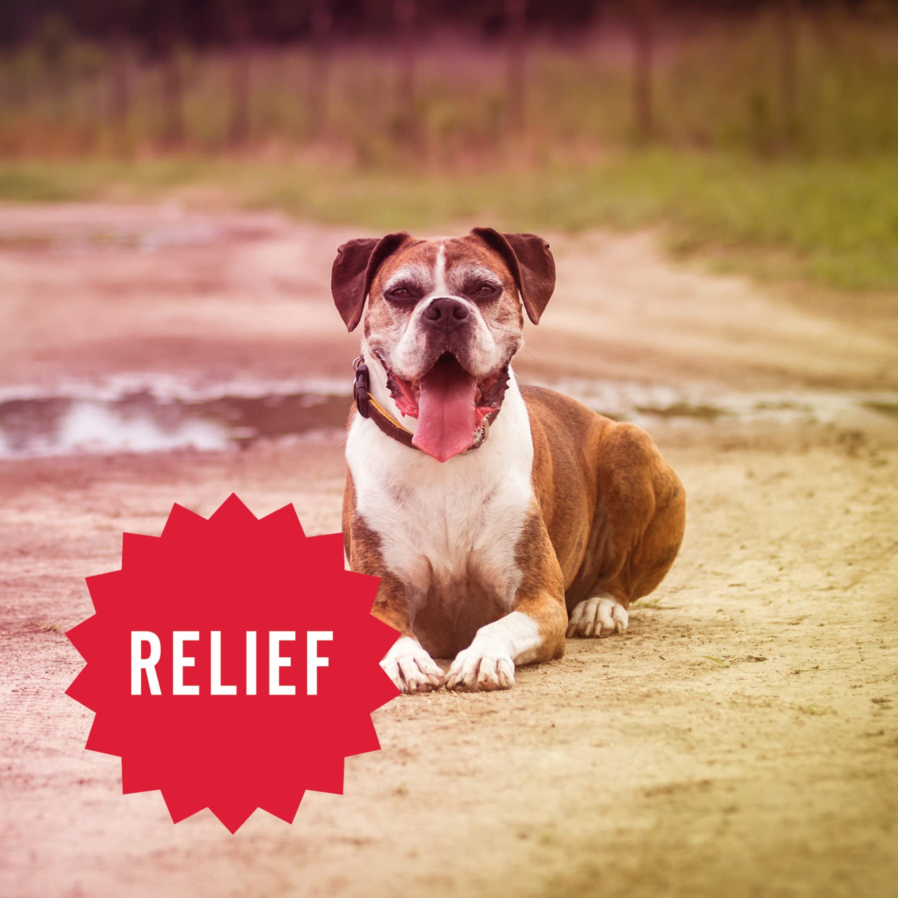 Organic Hemp Relief Soft Chews for Dogs - Hip & Joint Supplement with Long-Lasting Mobility Support | Calming Anxiety Relief | Natural Hemp Dog Treats for Joint Pain, Stress & Relaxation | Perfect for Active Dogs, Senior Pets & Anxious Puppies (1 Pack)