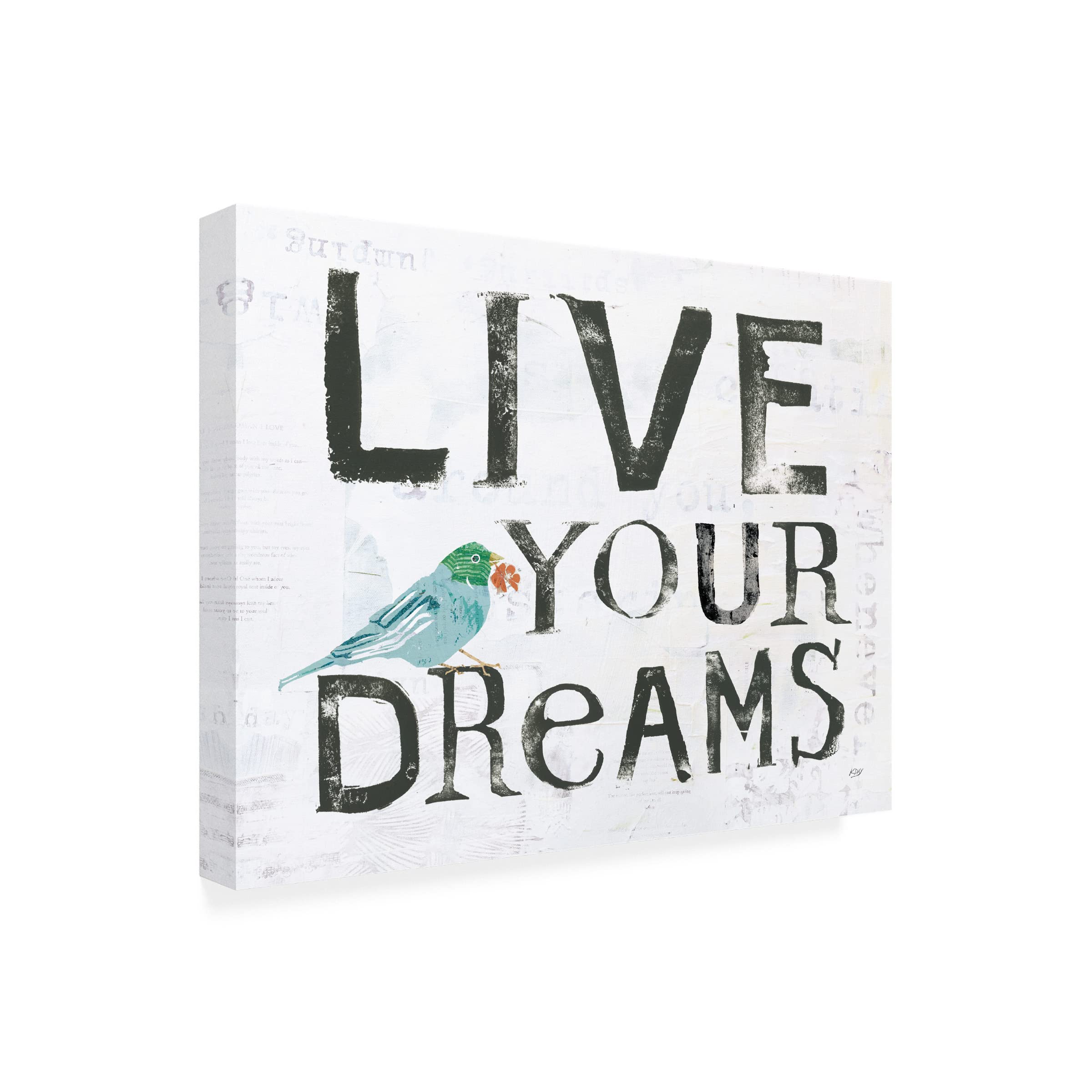 Live Your Dreams