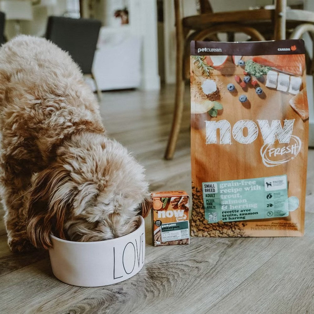 Premium Grain-Free Dry Dog Food for Small Breed Adults - Trout, Salmon & Herring Recipe - Perfect for Sensitive Stomachs & Healthy Skin