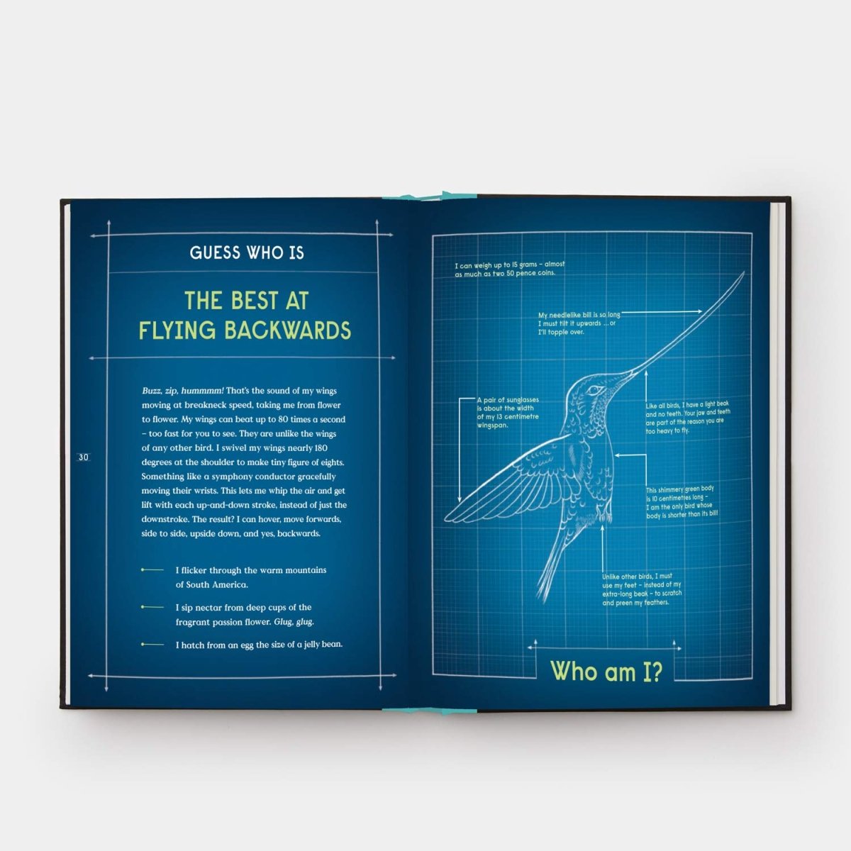 Gabrielle Balkan: Book of Flight - 10 Record-Breaking Animals with Wings | Illustrated by Sam Brewster | Perfect for Kids' STEM Learning & Nature Exploration