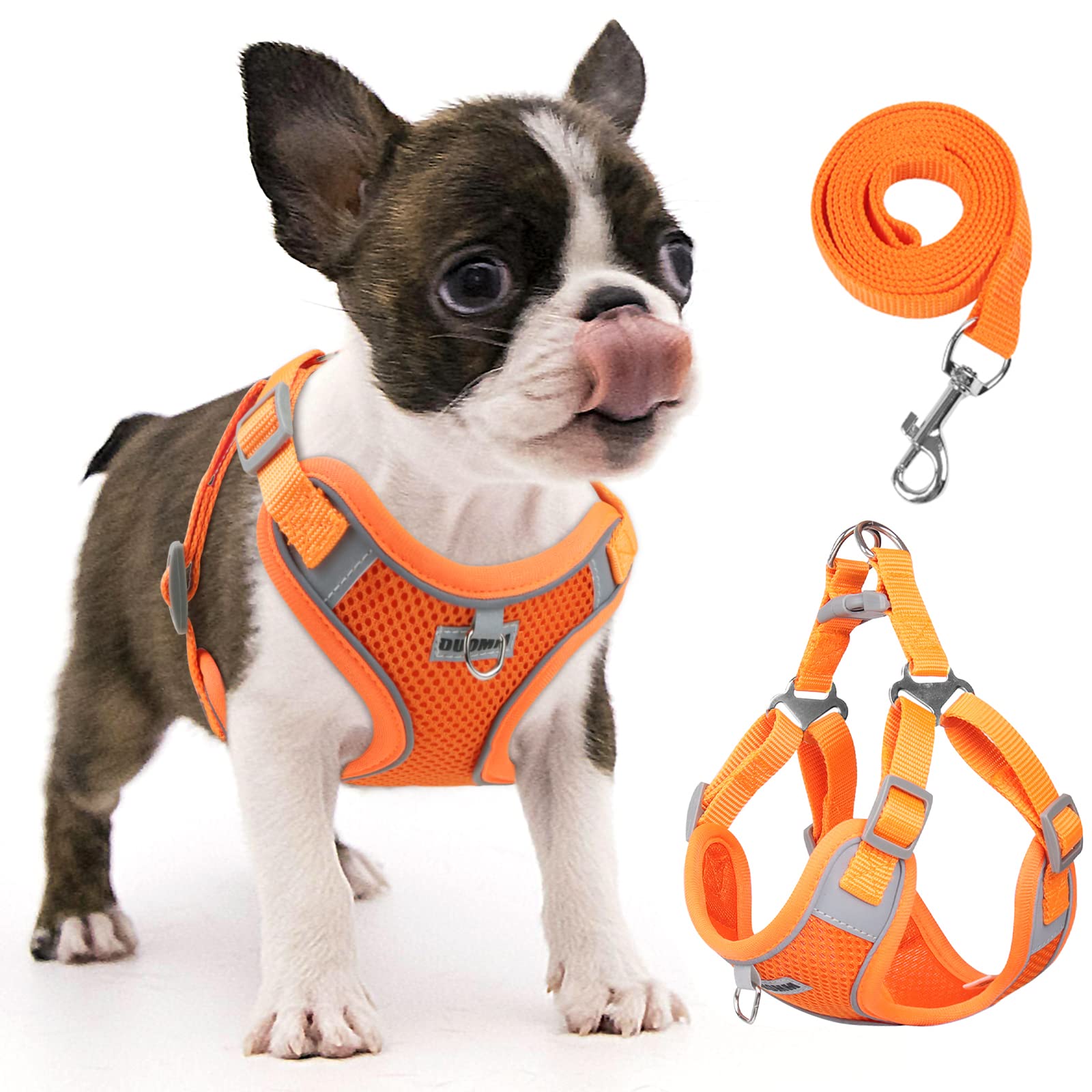 No Pull Dog Harness with 2 Leash Clips - Adjustable Breathable Padded Vest for Small & Medium Dogs - Reflective Safety Harness & Leash Set (Pumpkin, S) - Perfect for Walking, Training & Outdoor Adventures